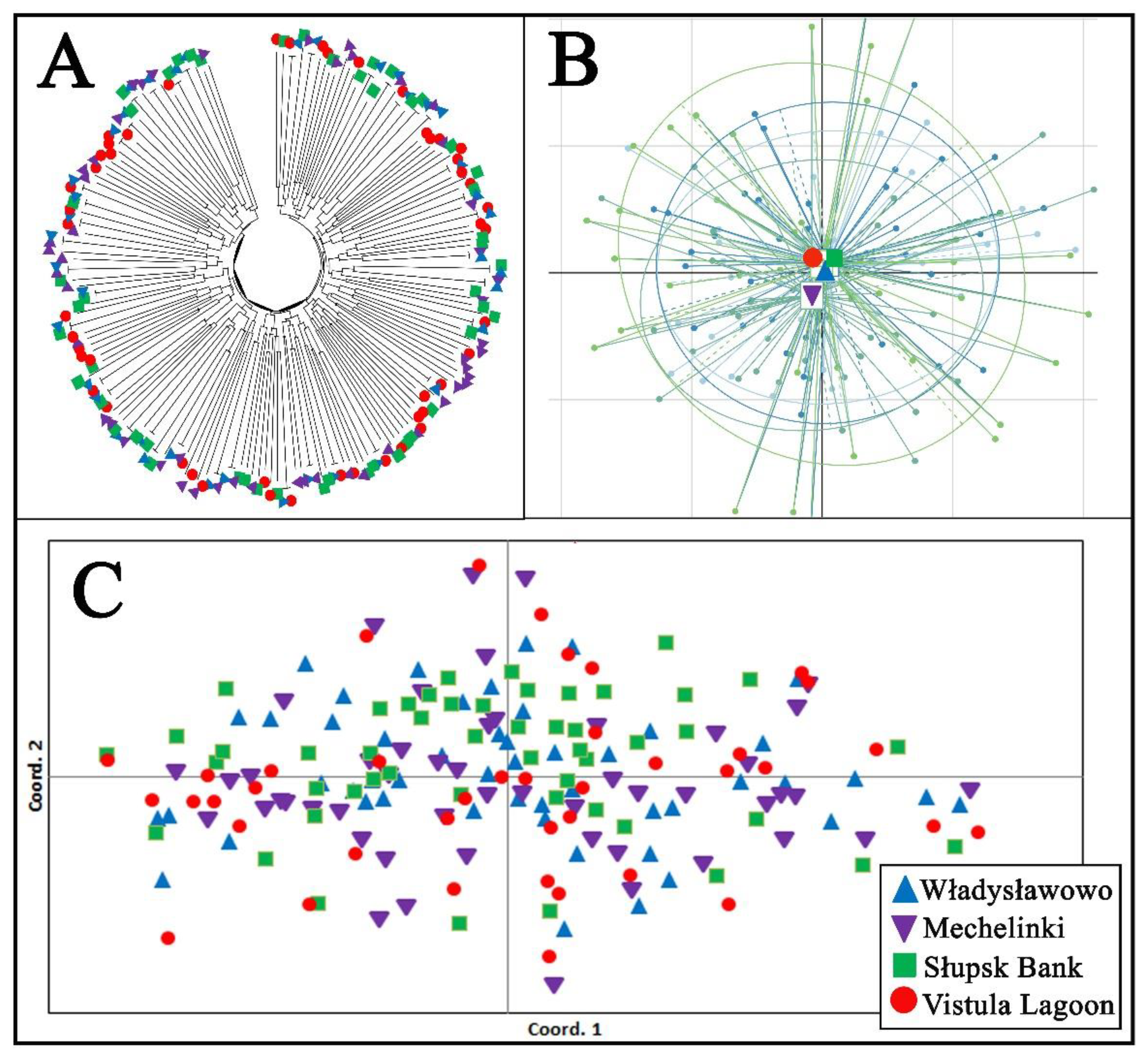 Animals 13 01448 g002