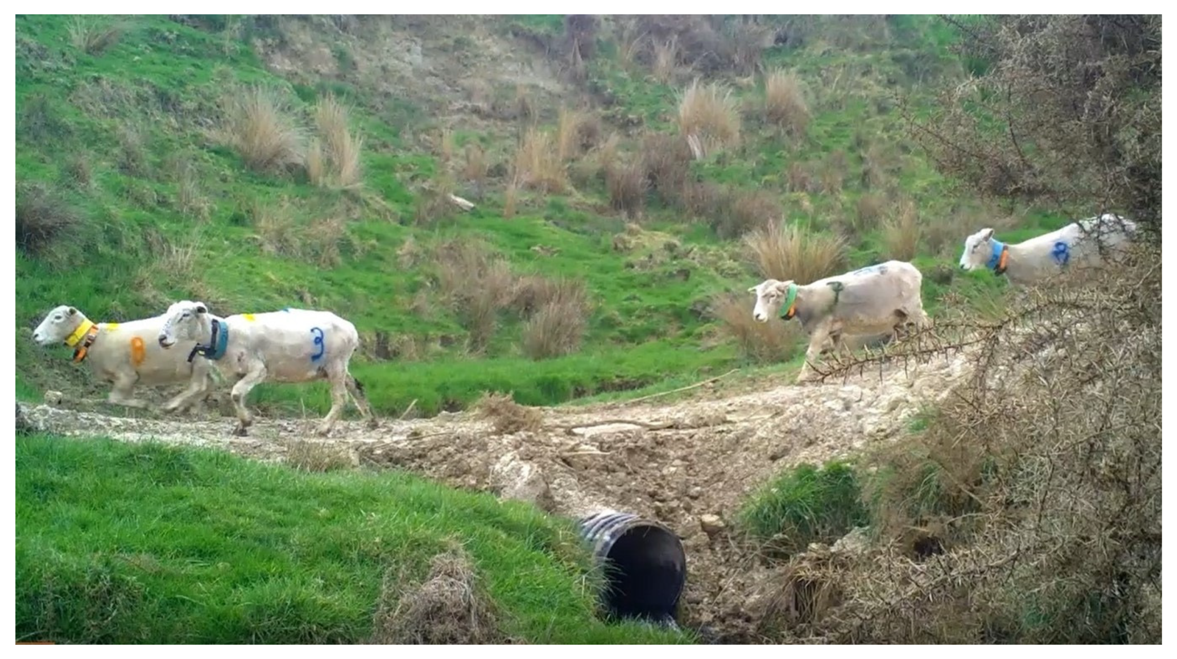 Animals 13 01461 g010