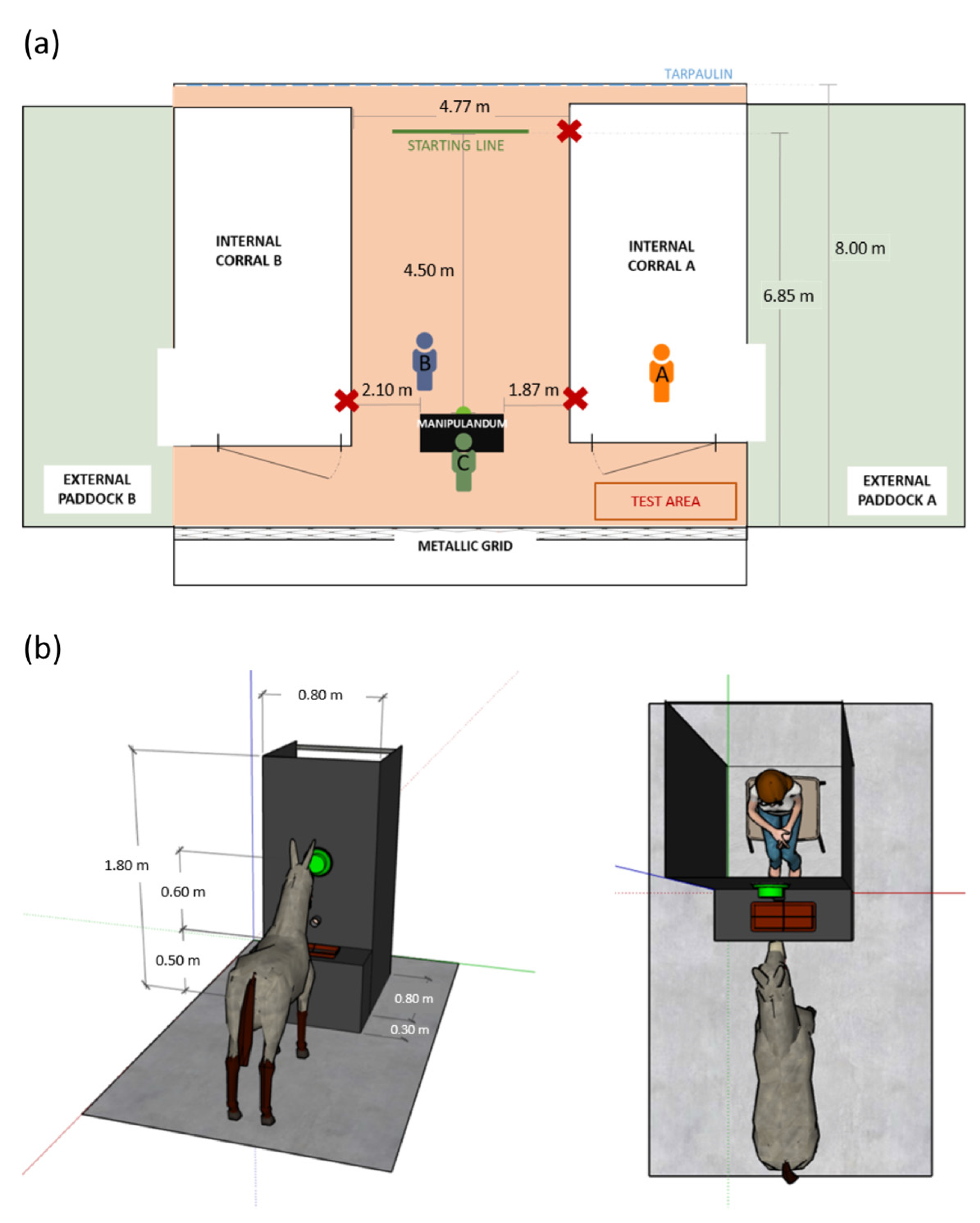 Animals 13 01466 g001