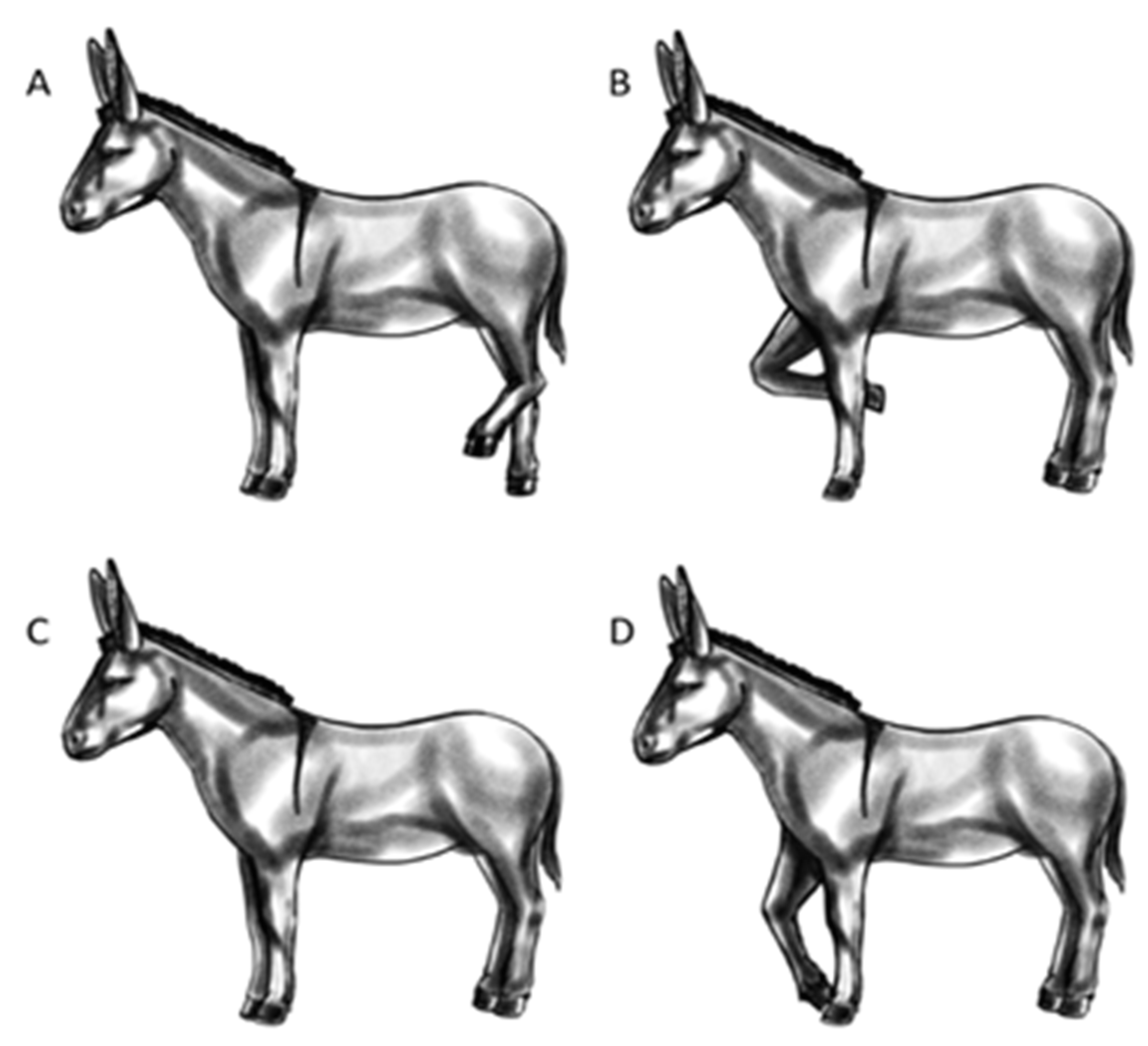 Animals 13 01466 g003