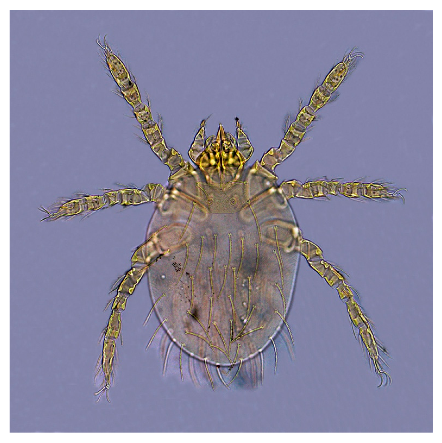 Animals 13 01480 g003 Animals 13 01480 g003