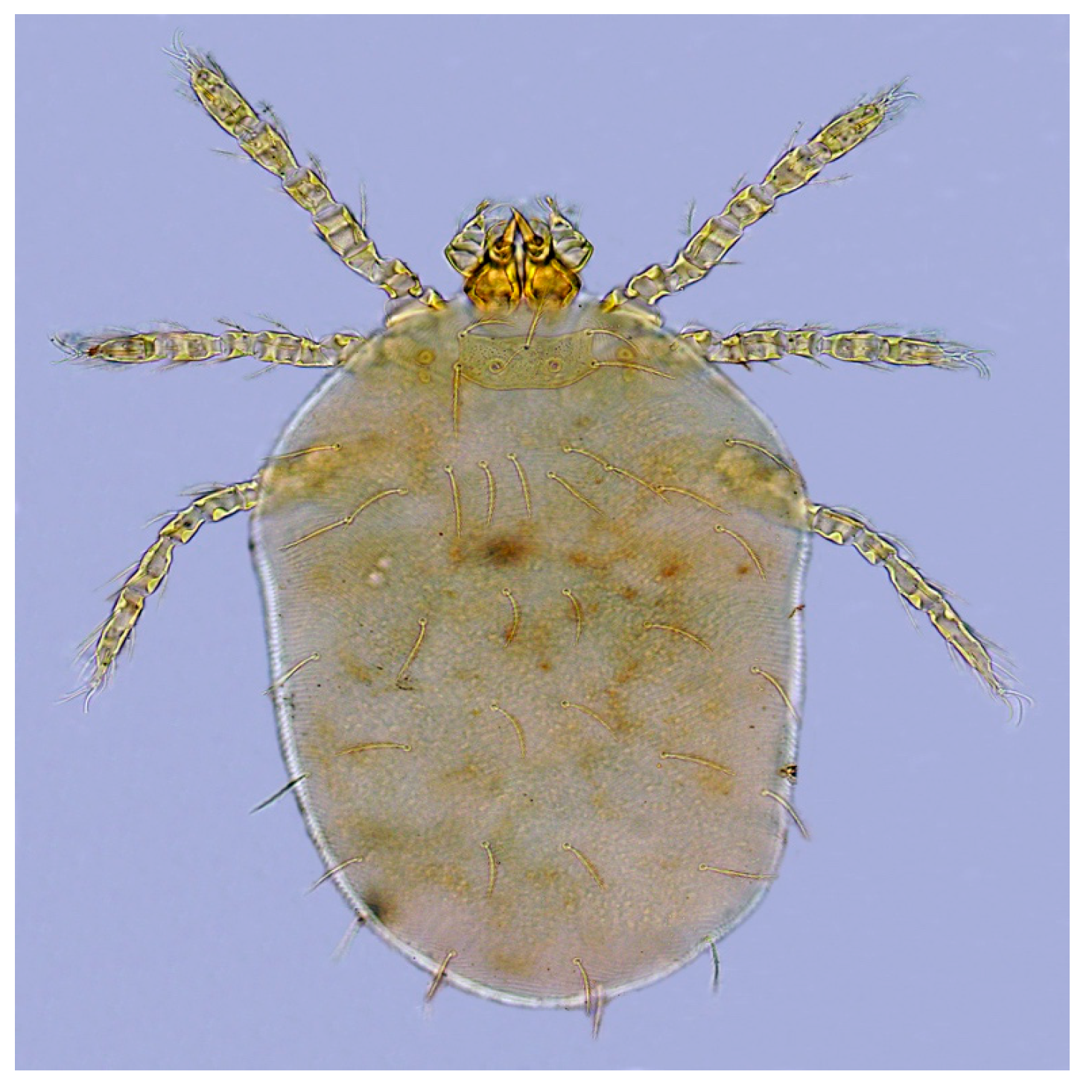 Animals 13 01480 g005 Animals 13 01480 g005