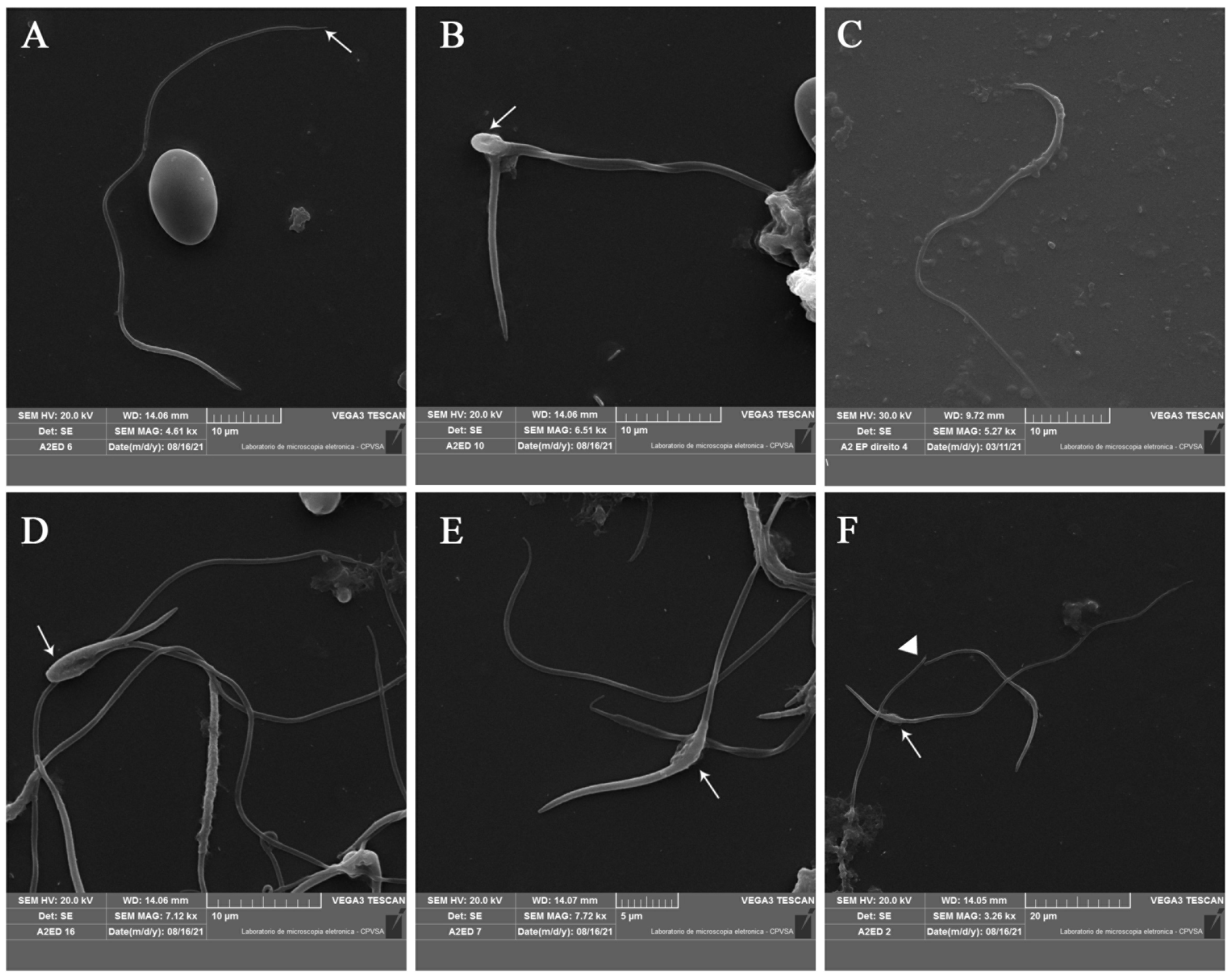 Animals 13 01483 g003