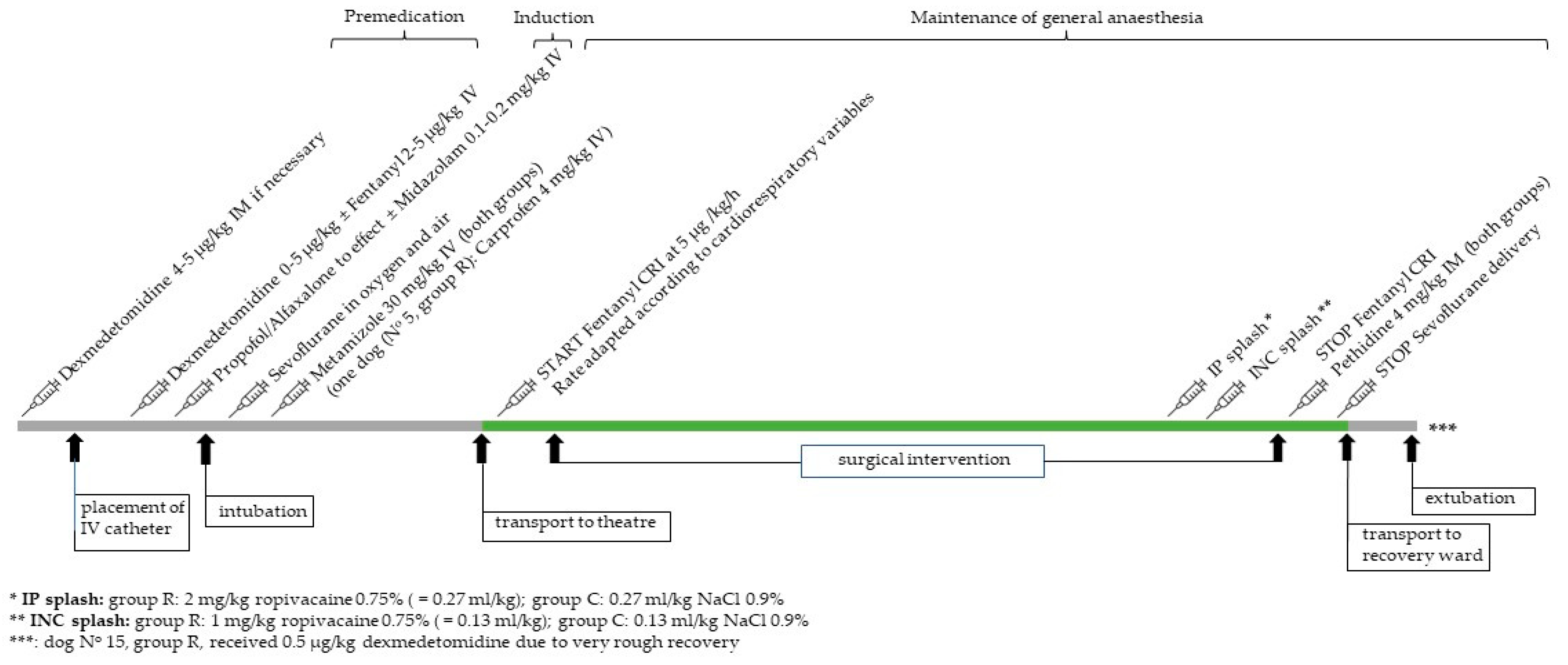 Animals 13 01489 g001