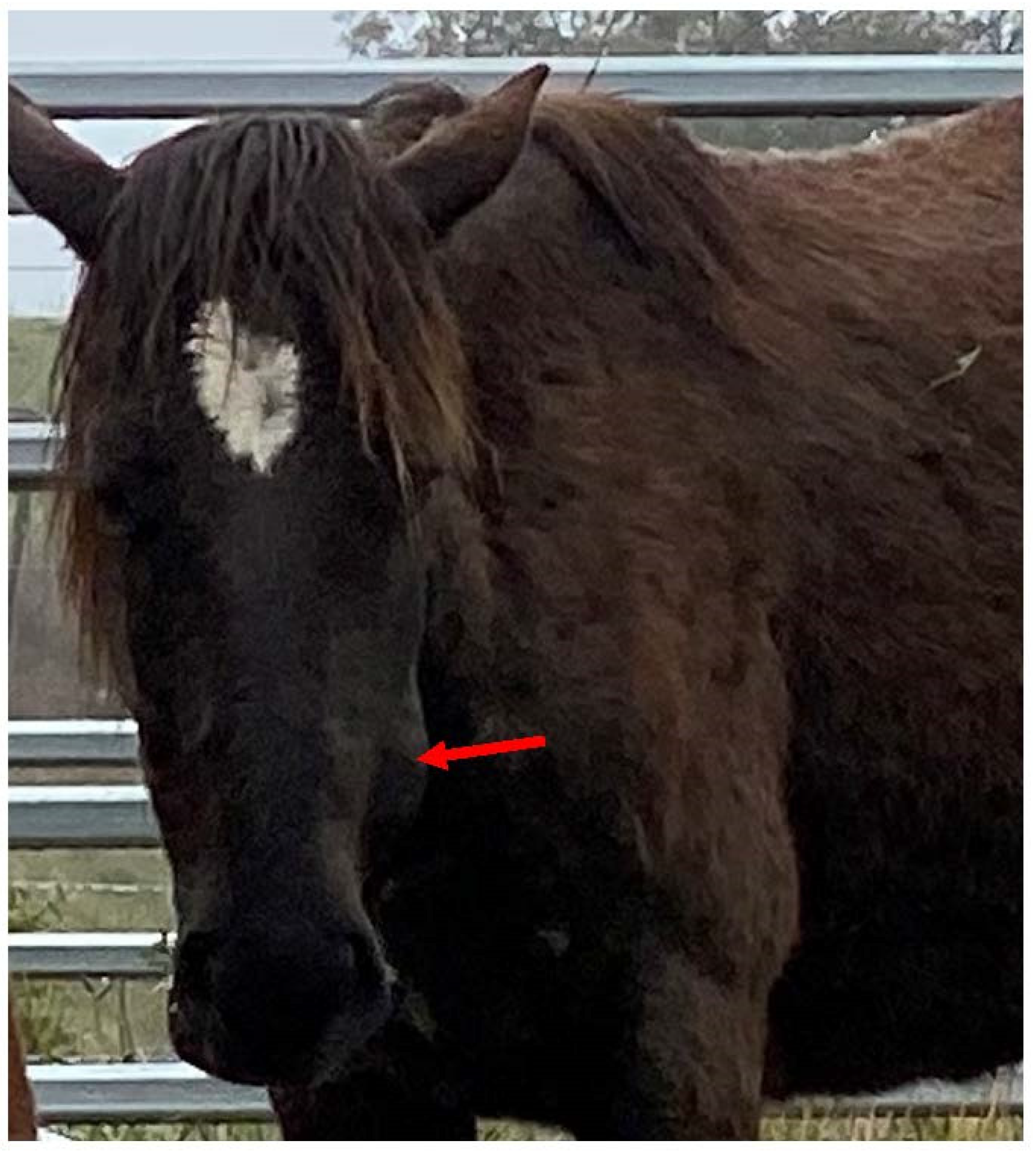 Animals 13 01507 g005