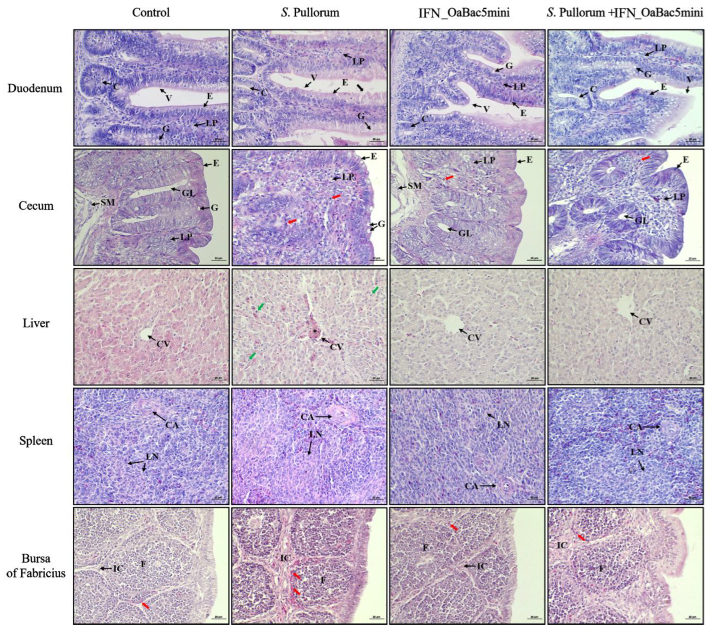Animals 13 01515 g007