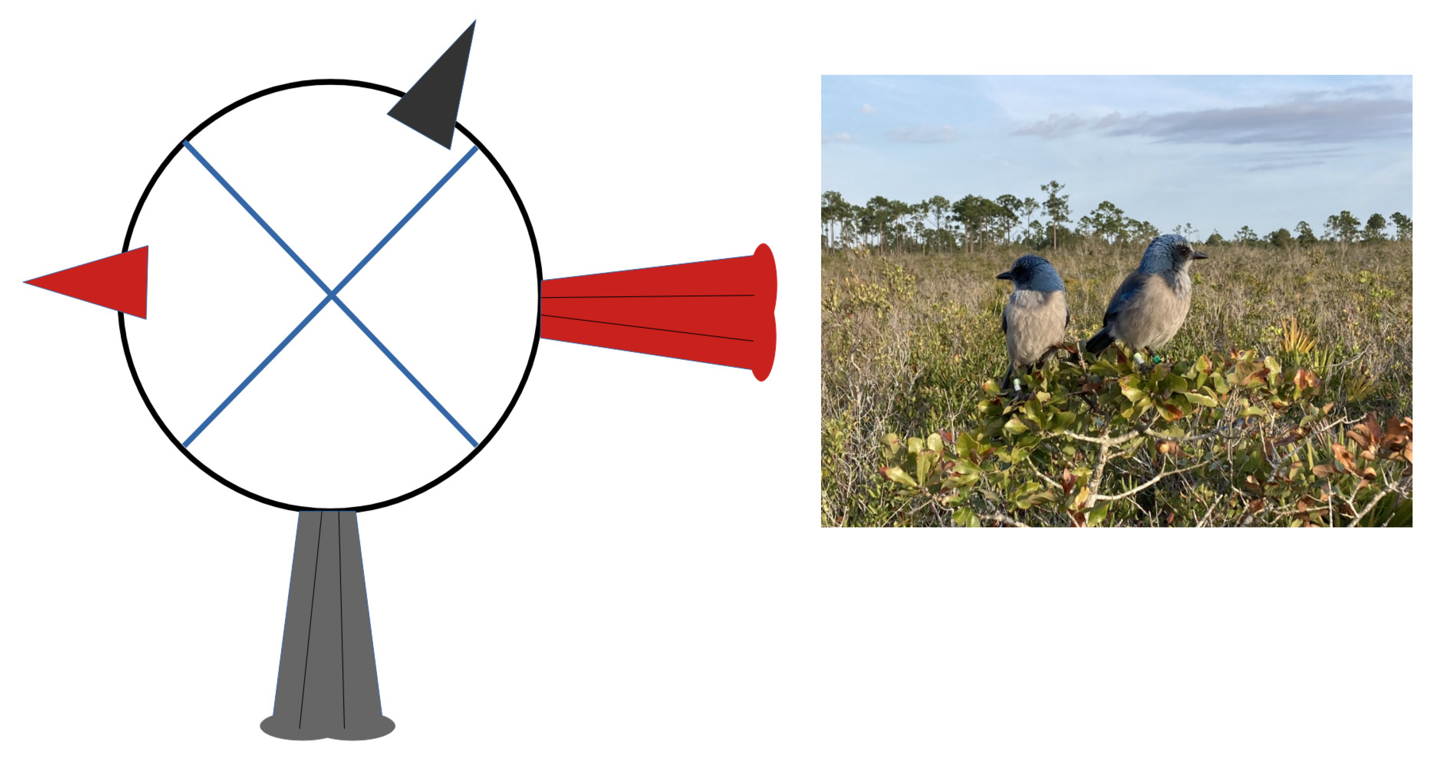 Animals 13 01524 g001 Animals 13 01524 g001