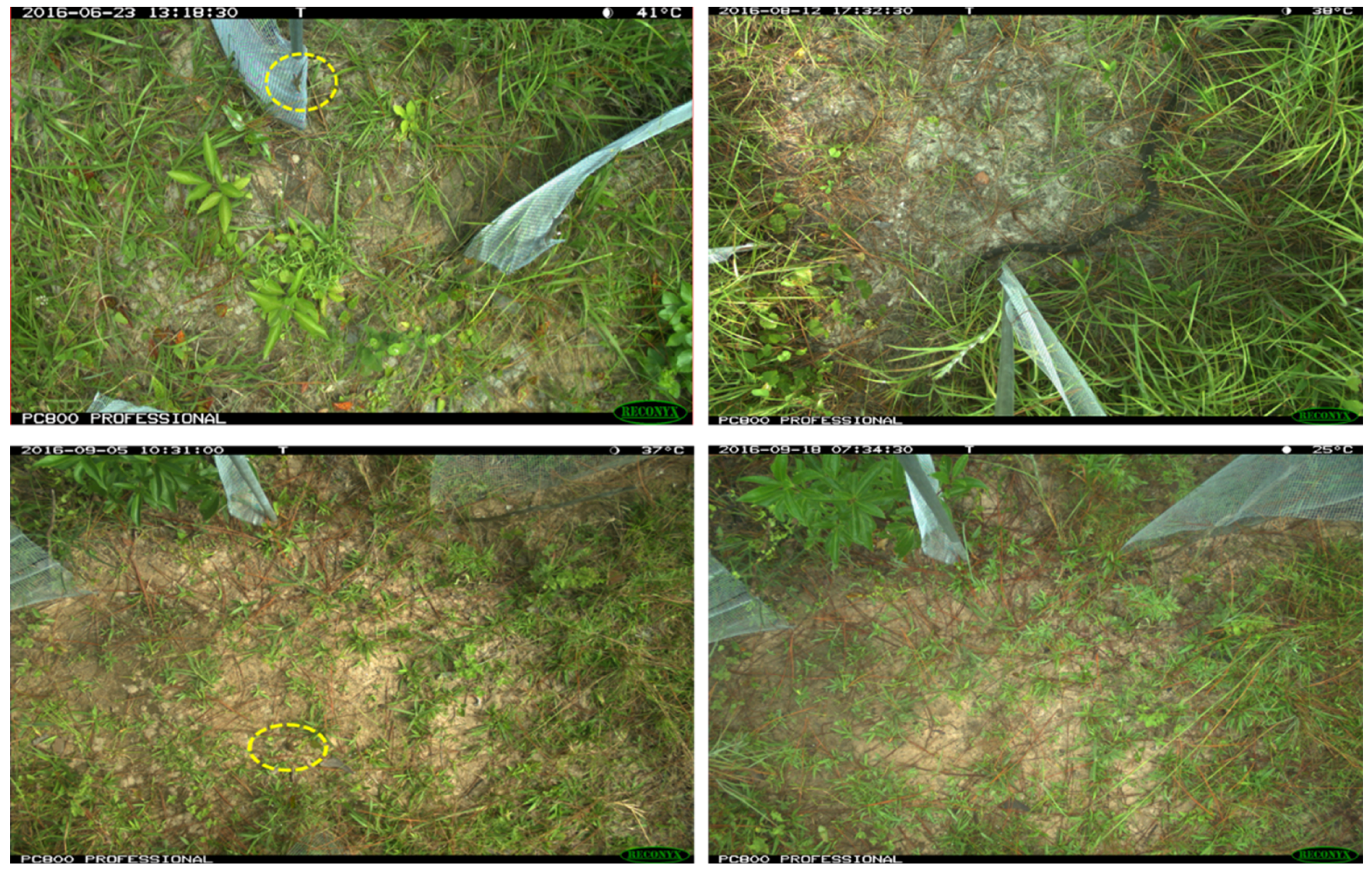 Animals 13 01526 g001