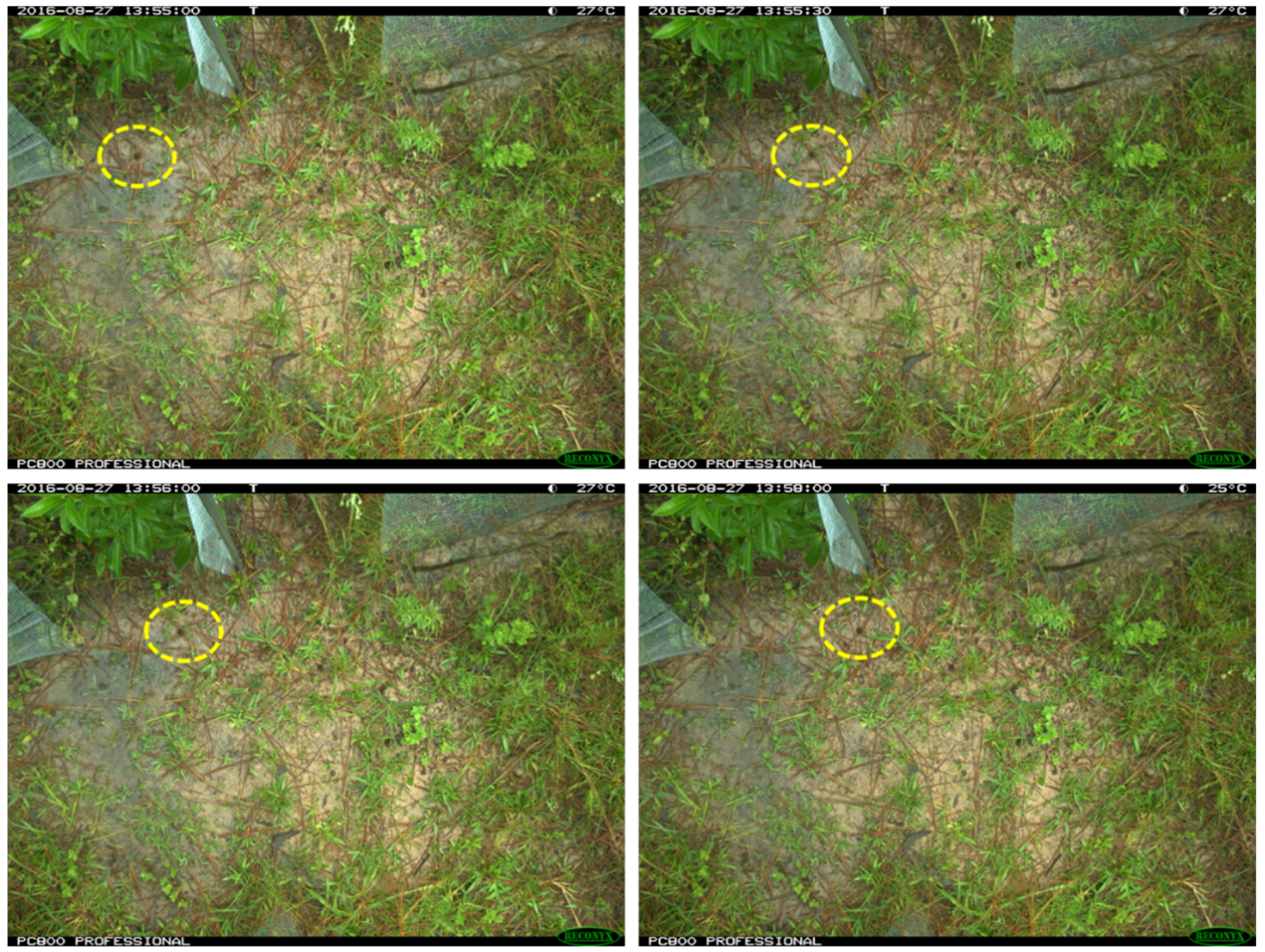 Animals 13 01526 g002