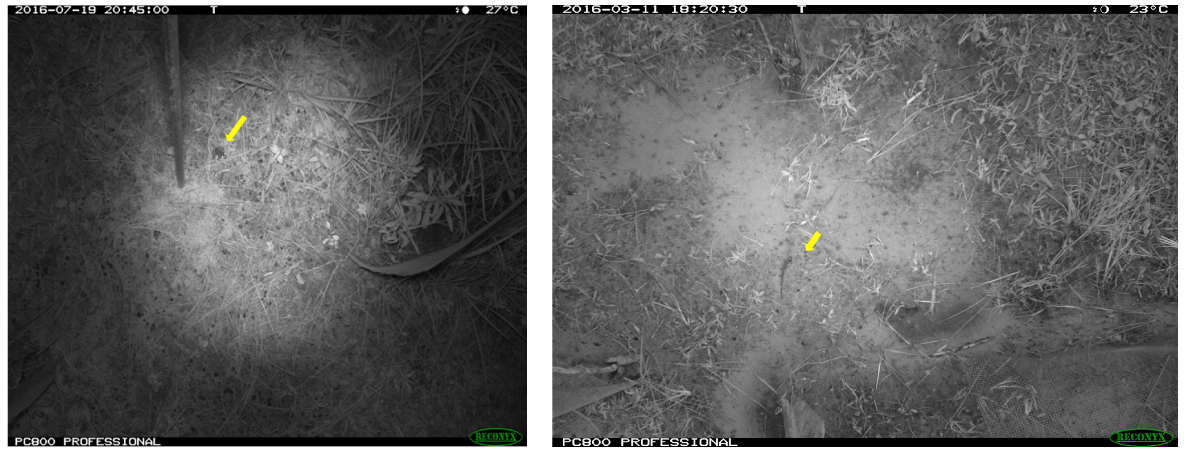 Animals 13 01526 g003