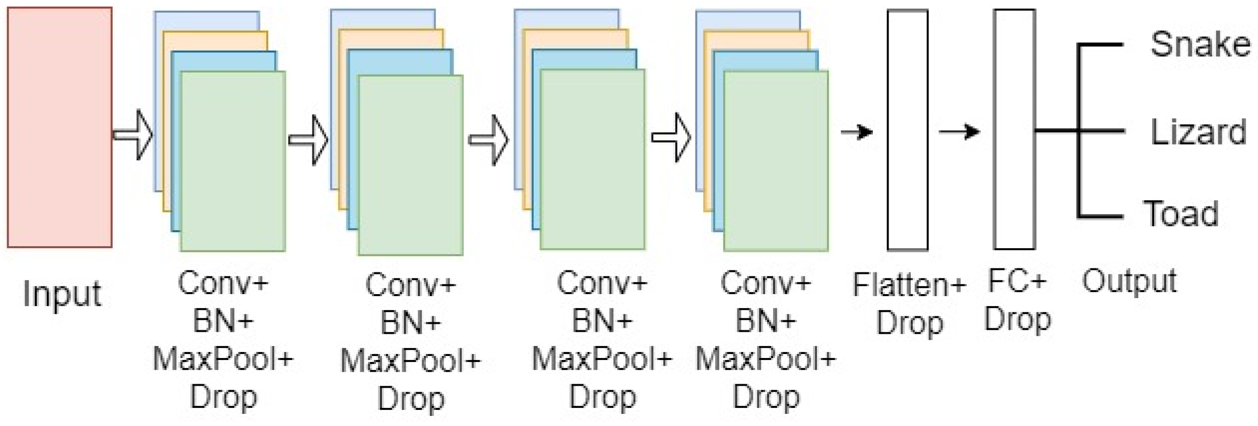 Animals 13 01526 g004