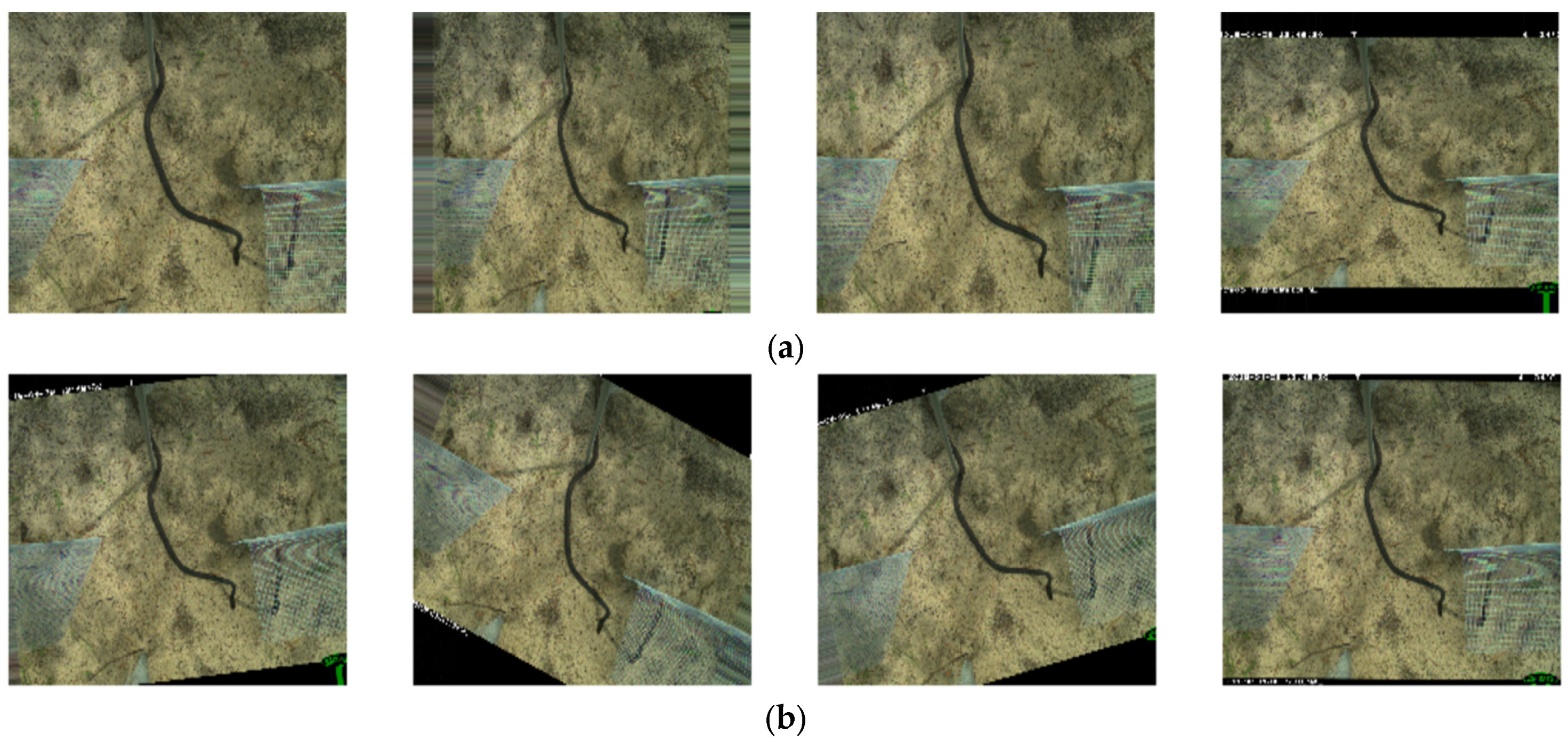 Animals 13 01526 g008