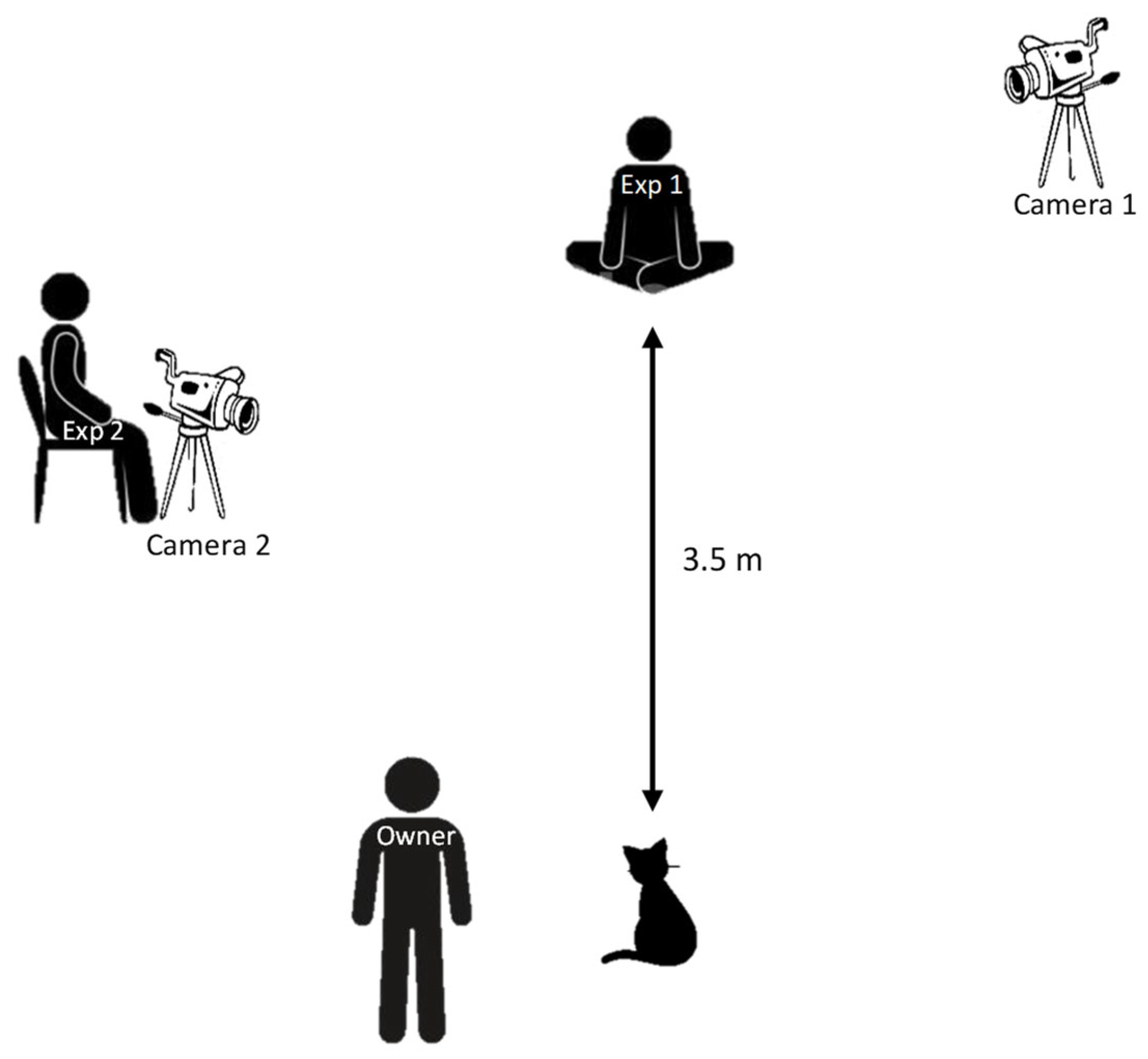 Animals 13 01528 g001 Animals 13 01528 g001