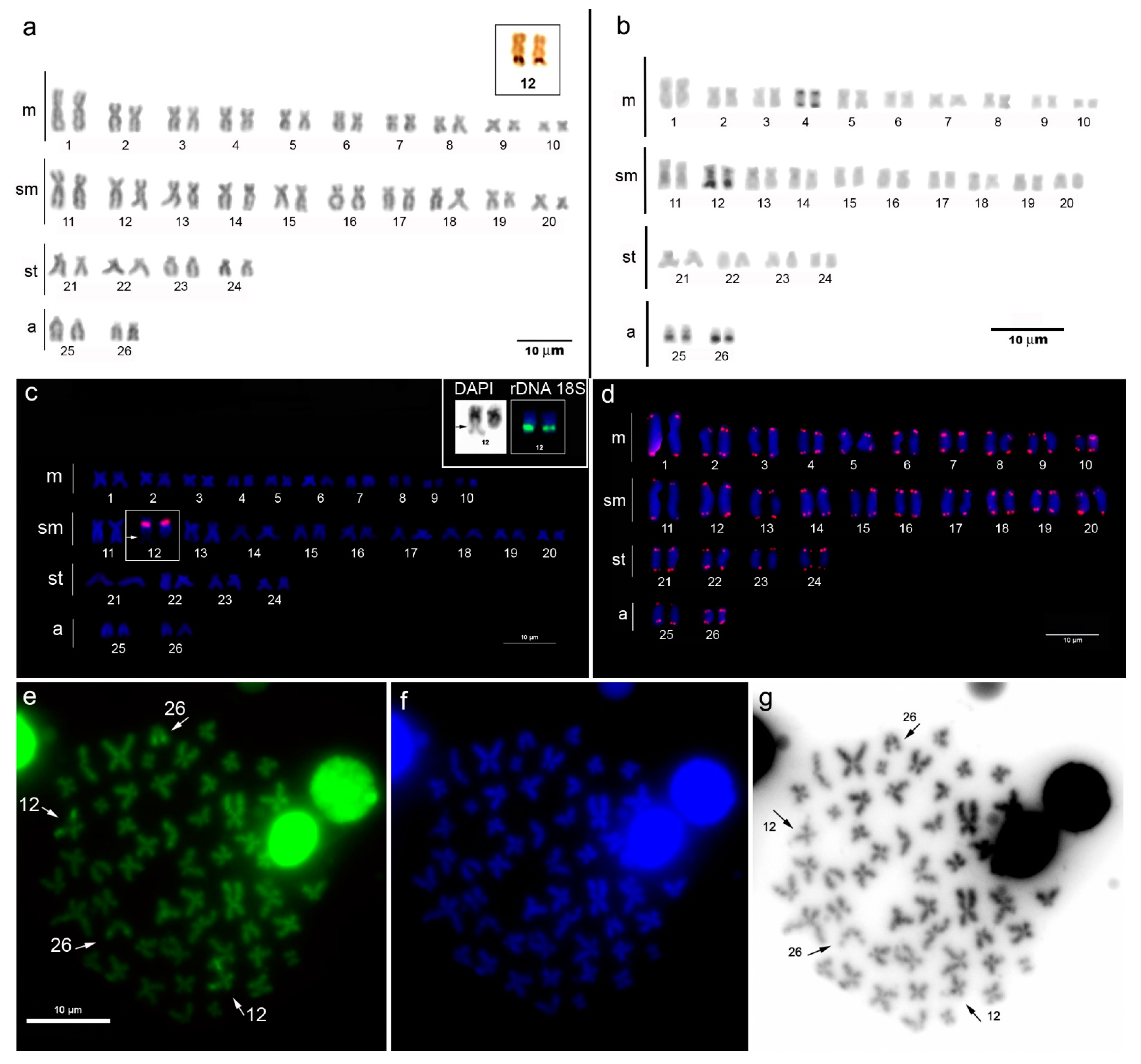Animals 13 01533 g002