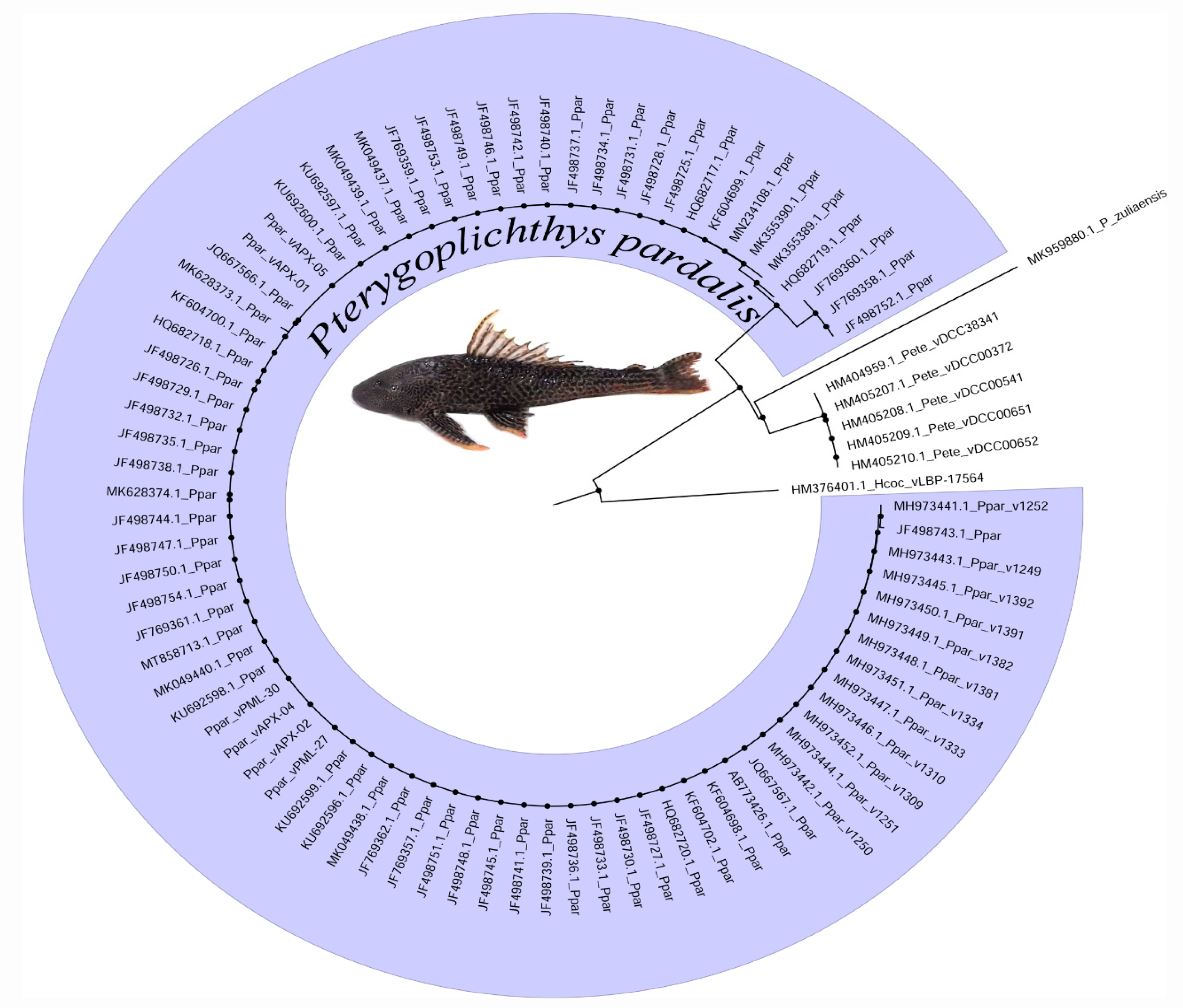 Animals 13 01533 g003