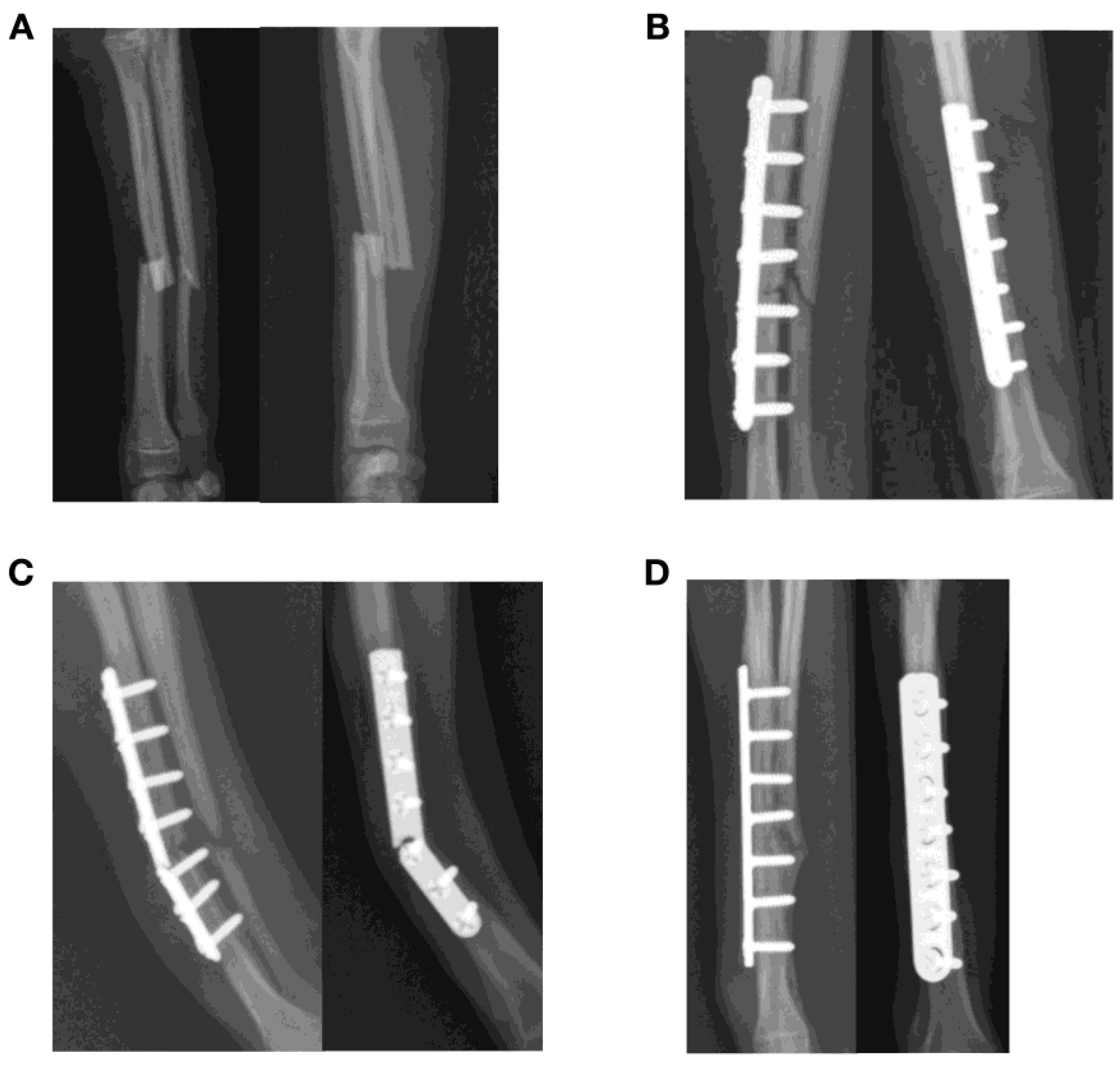 Animals 13 01549 g002 Animals 13 01549 g002