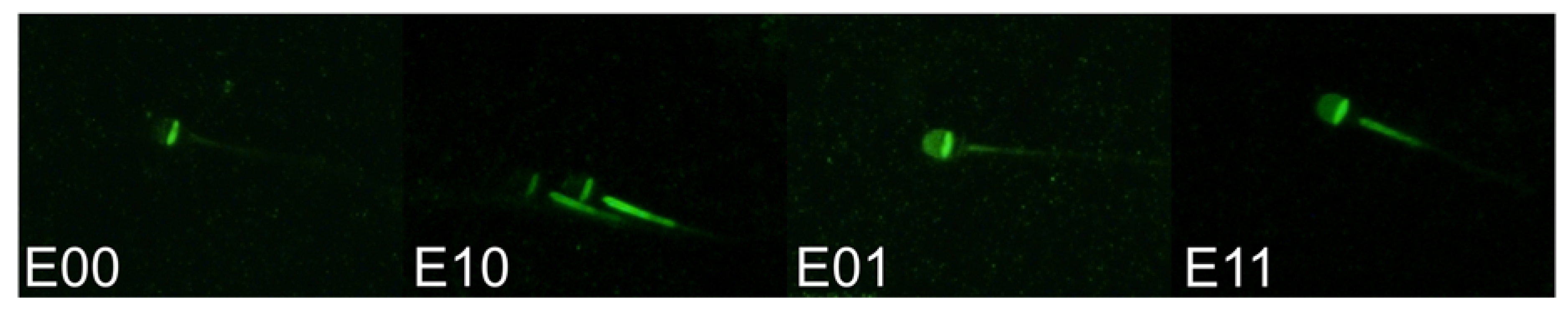 Animals 13 01580 g001 Animals 13 01580 g001