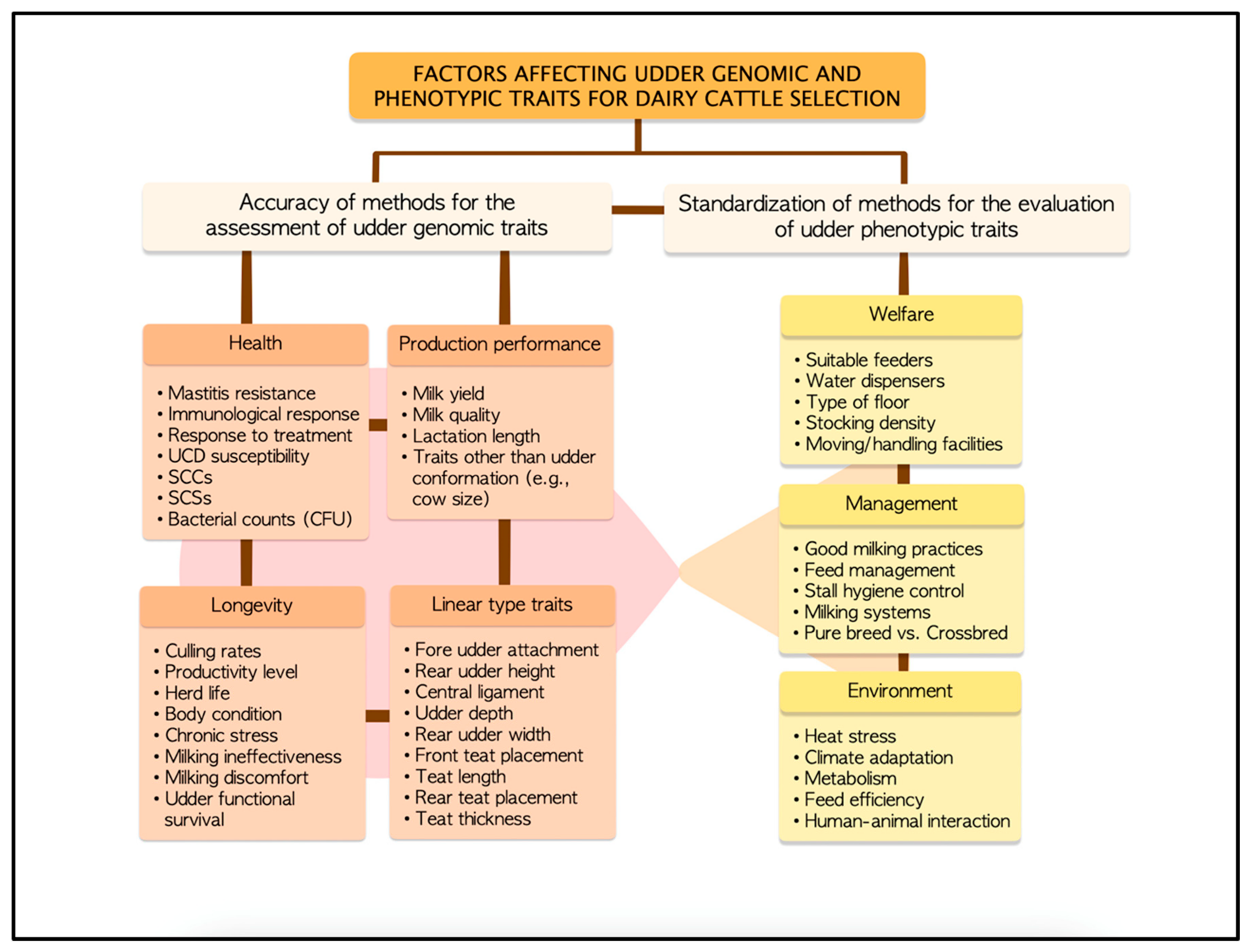 Animals 13 01588 g002