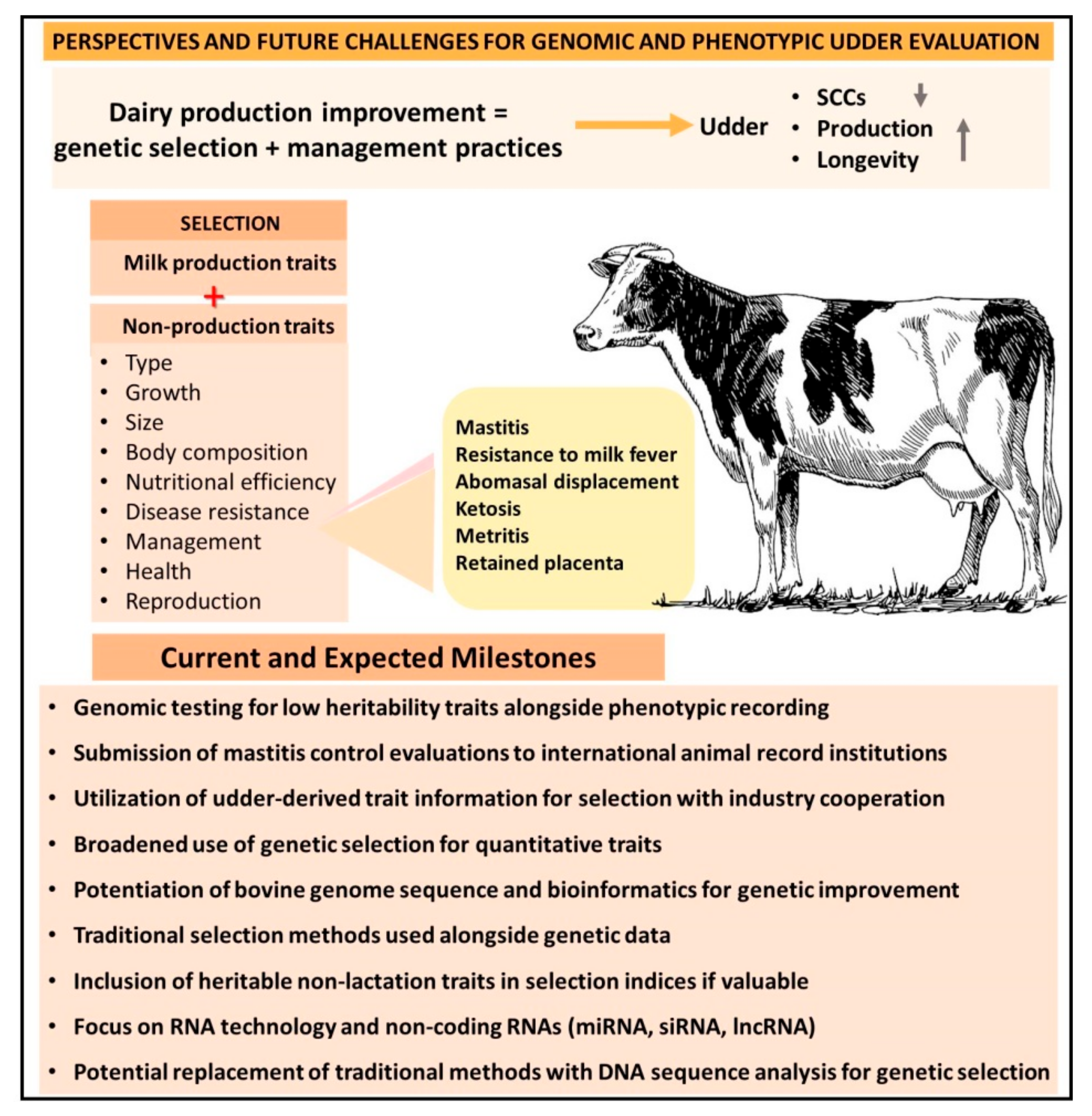 Animals 13 01588 g003