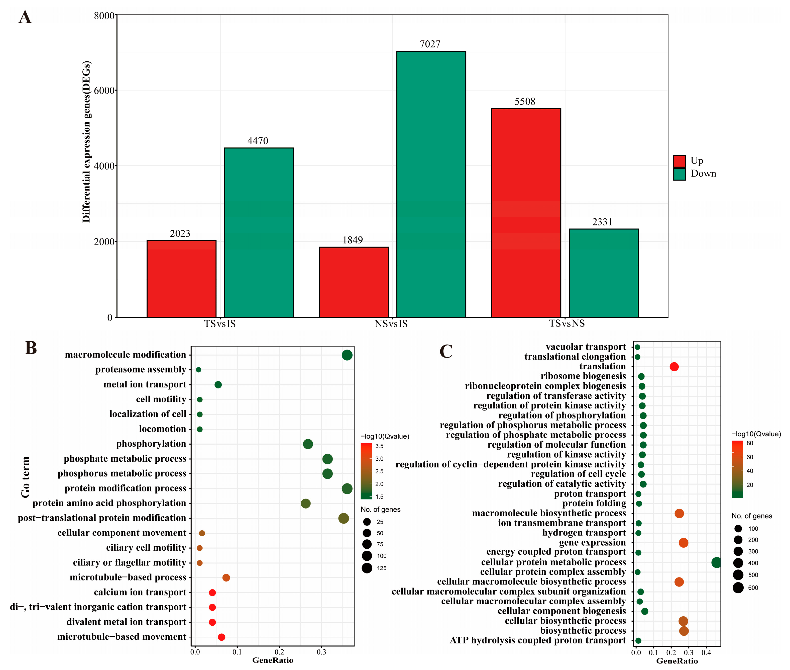 Animals 13 01608 g003