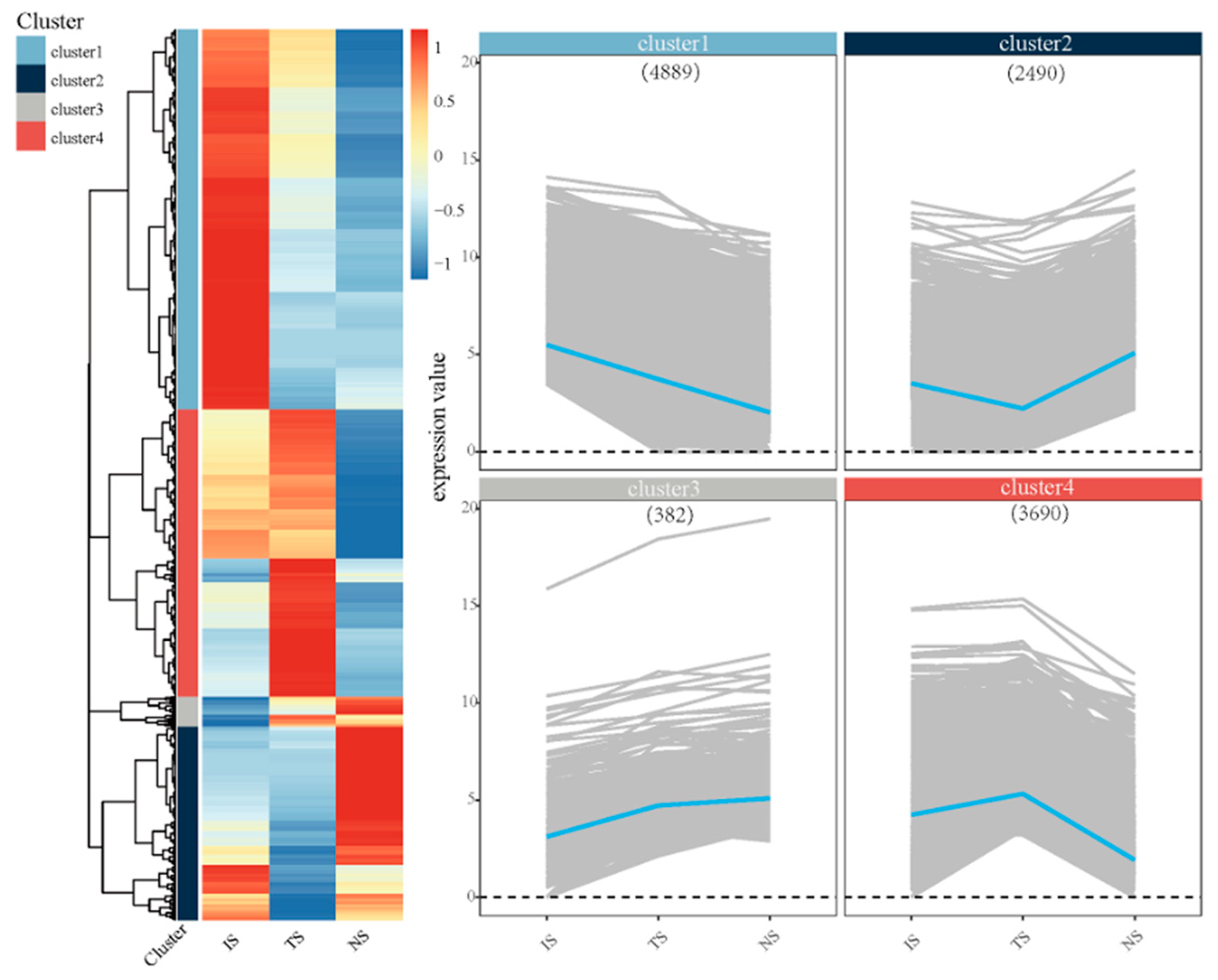 Animals 13 01608 g004