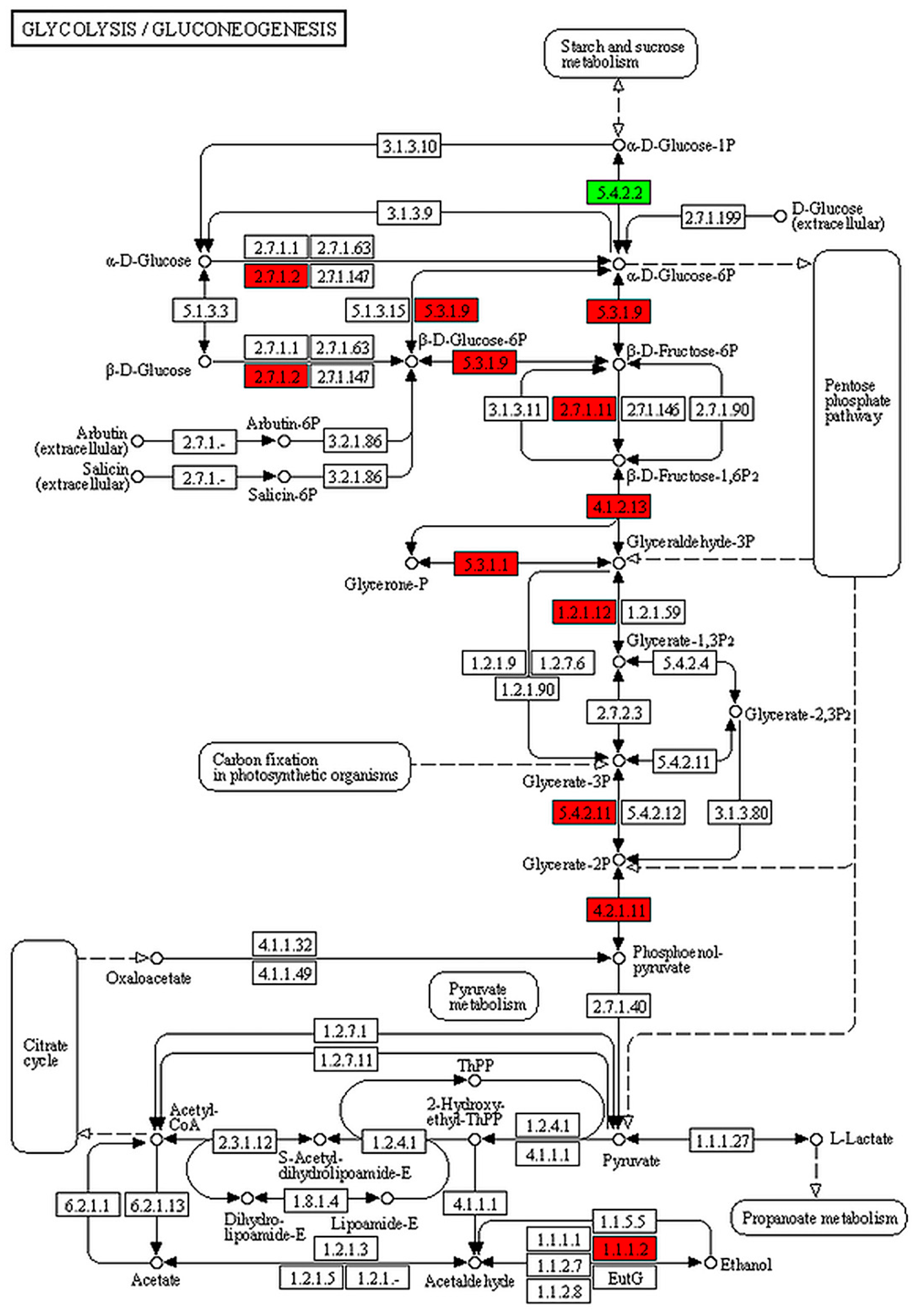 Animals 13 01608 g006
