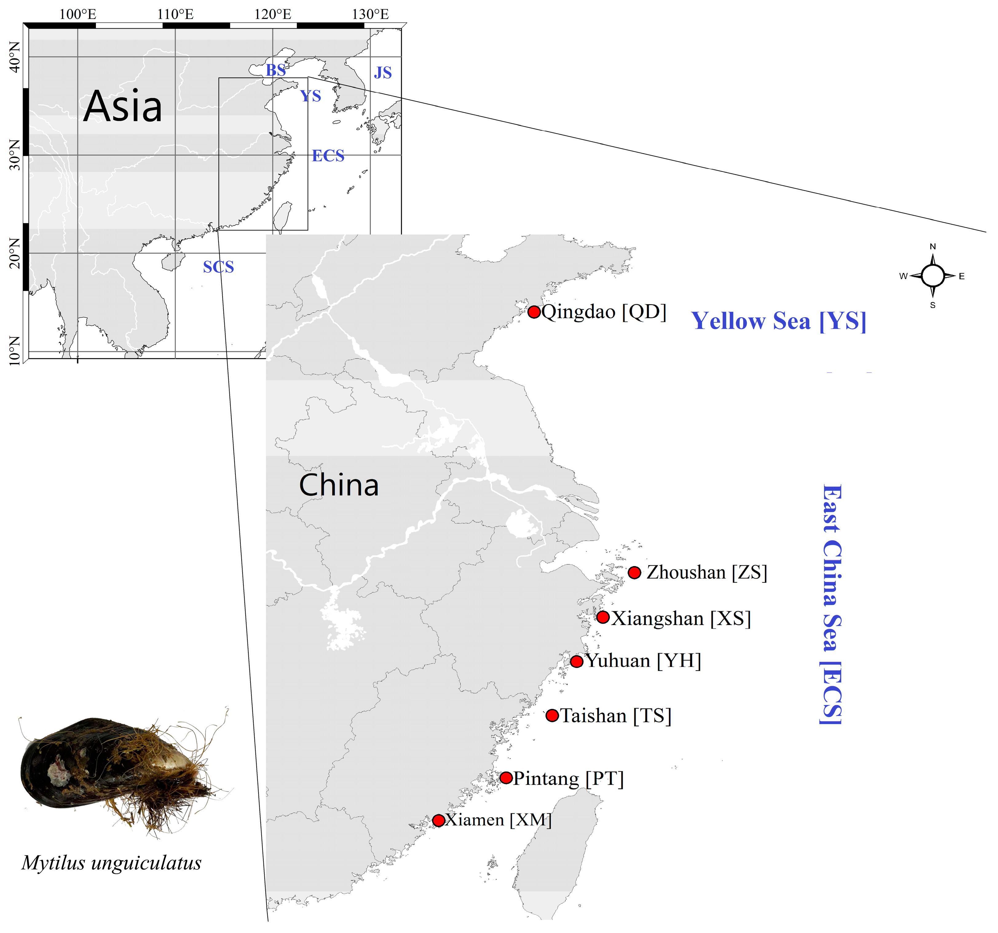 Animals 13 01609 g001