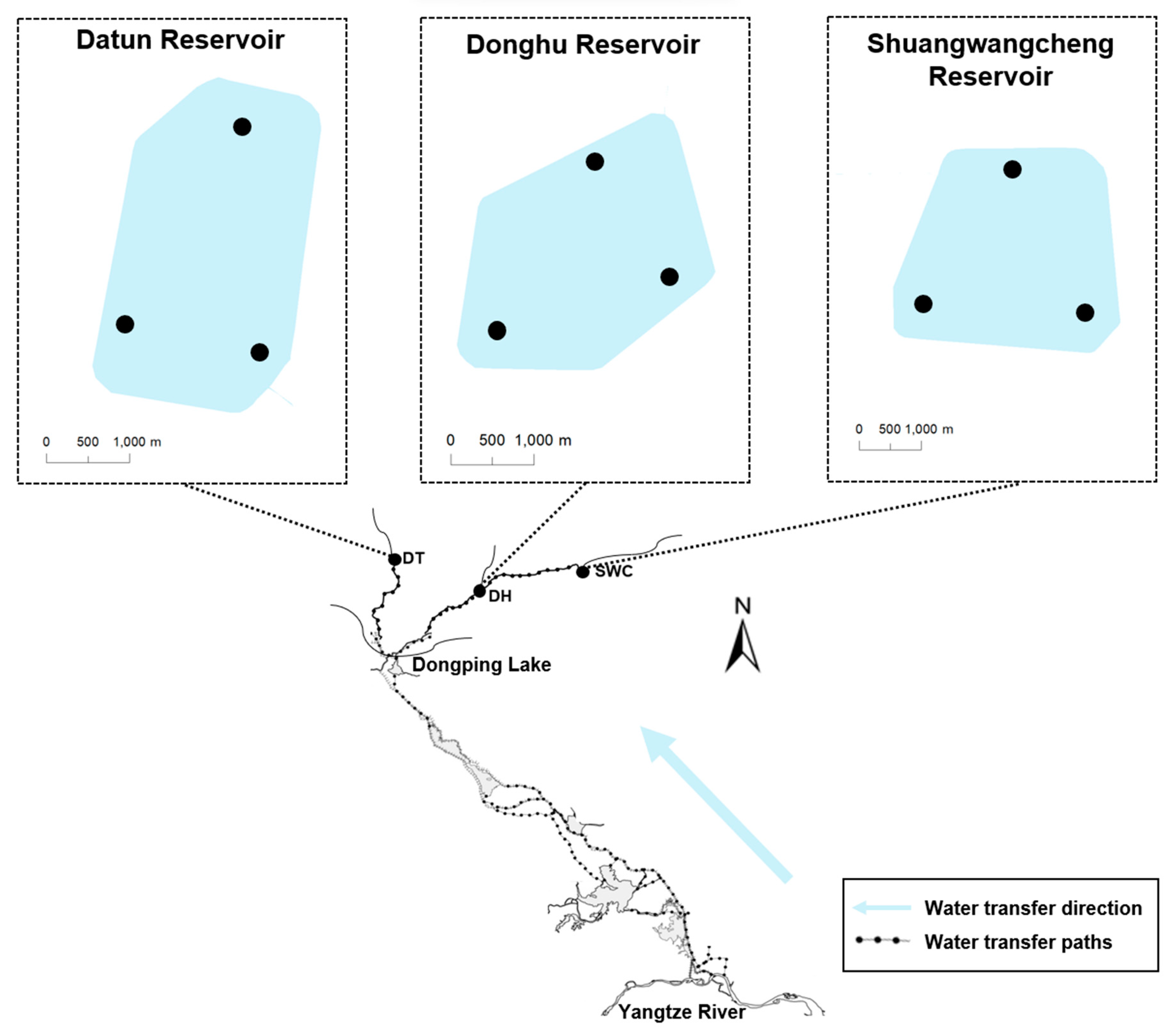 Animals 13 01614 g001
