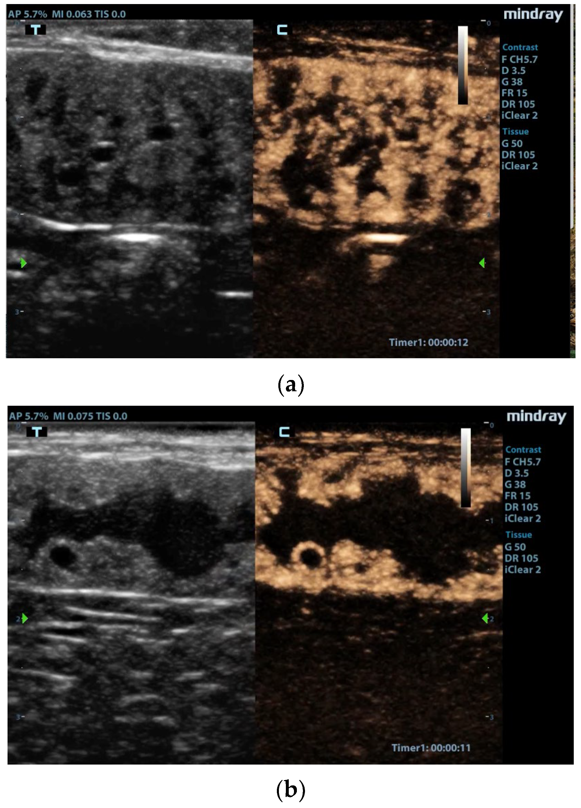 Animals 13 01615 g001 Animals 13 01615 g001