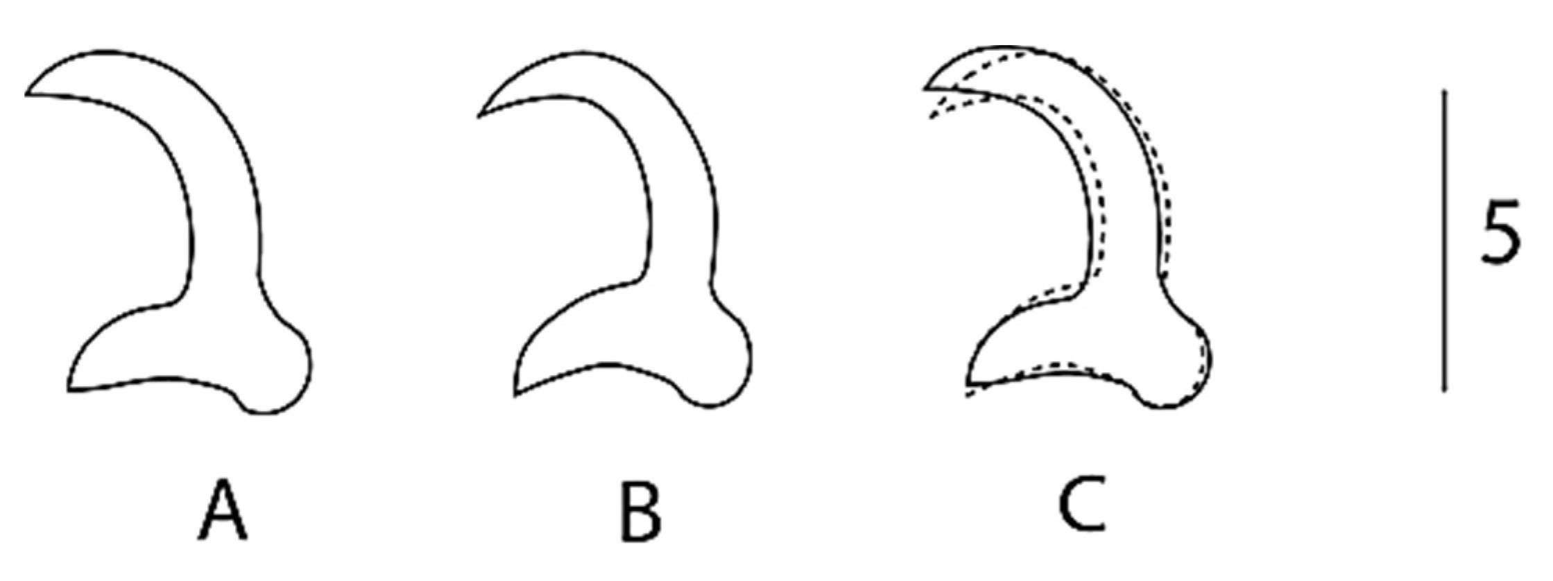 Animals 13 01624 g004 Animals 13 01624 g004