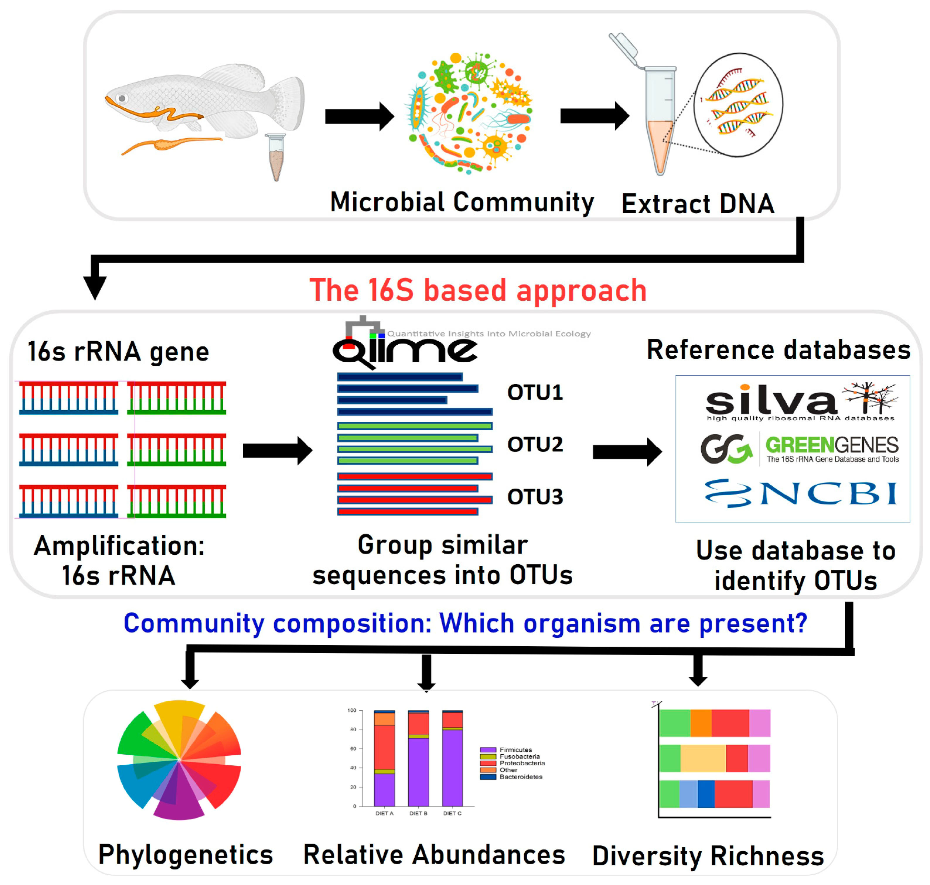 Animals 13 01633 g001 Animals 13 01633 g001