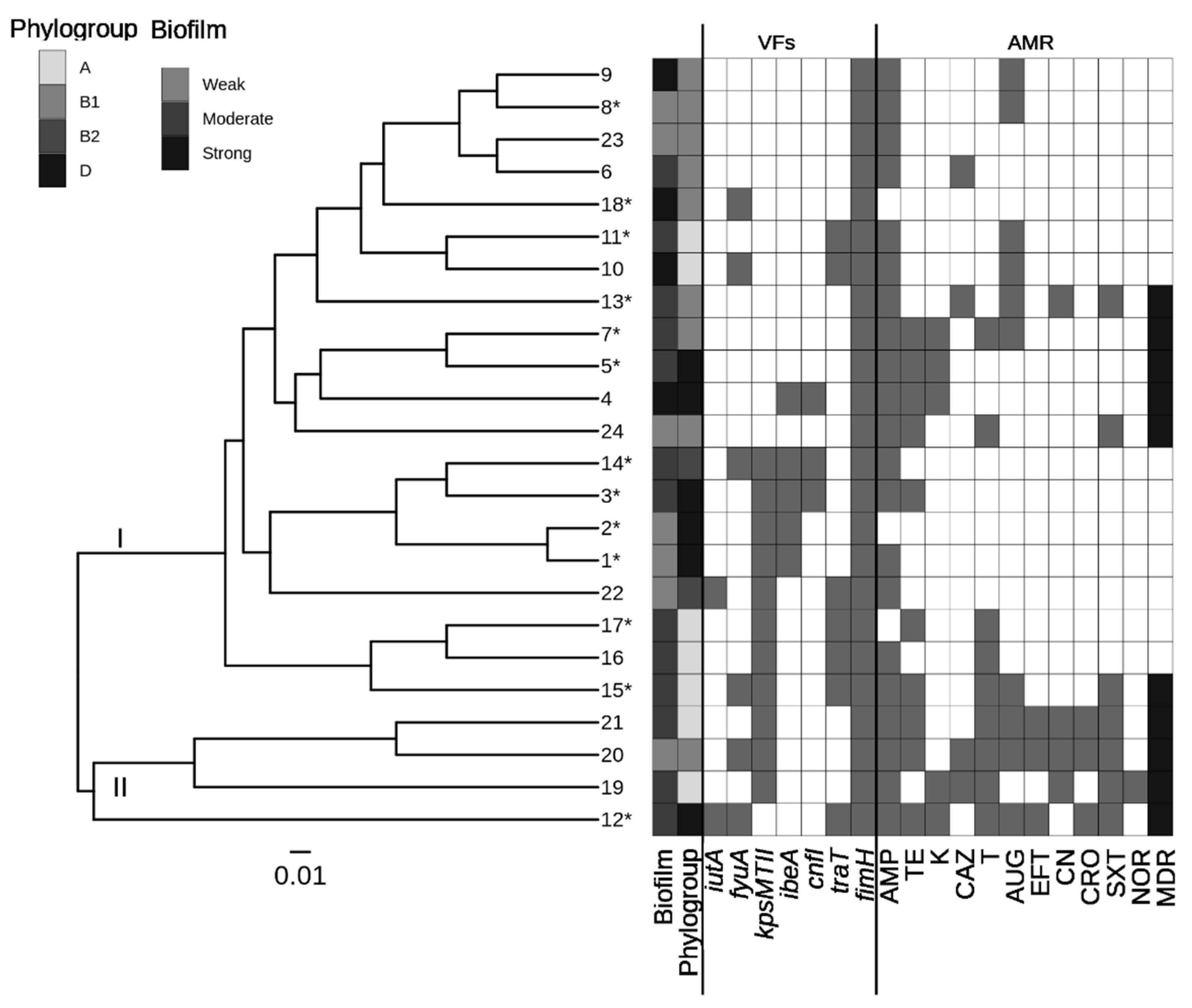 Animals 13 01639 g001