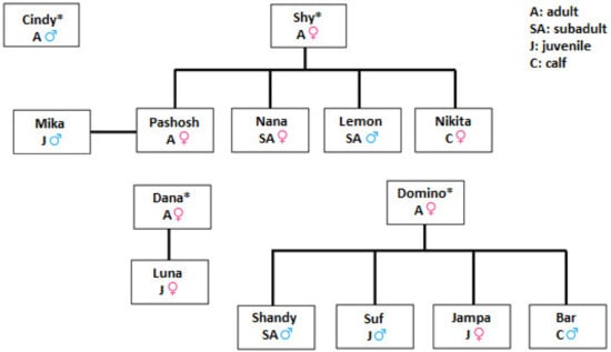 Animals 13 01651 g002