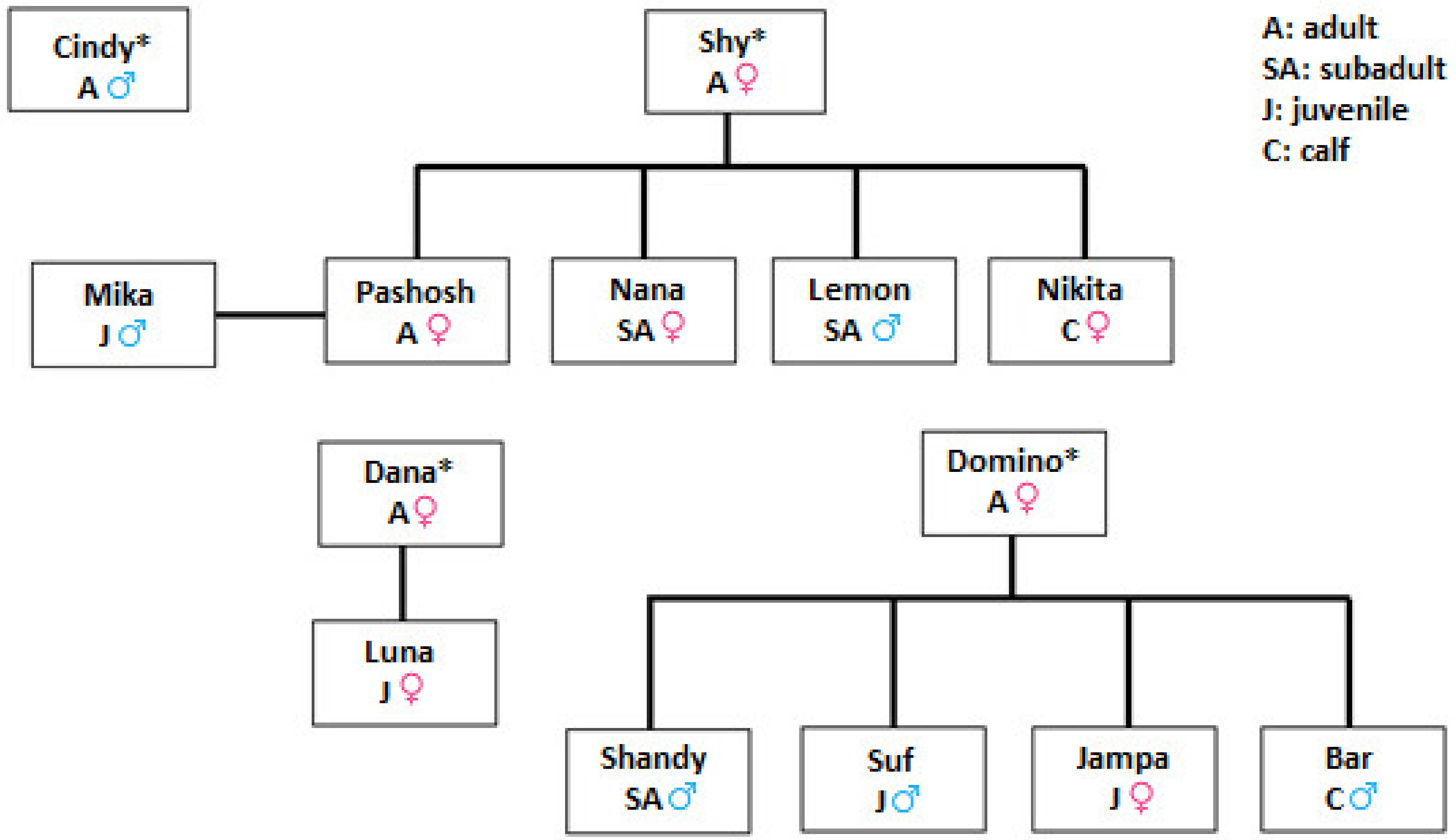 Animals 13 01651 g002