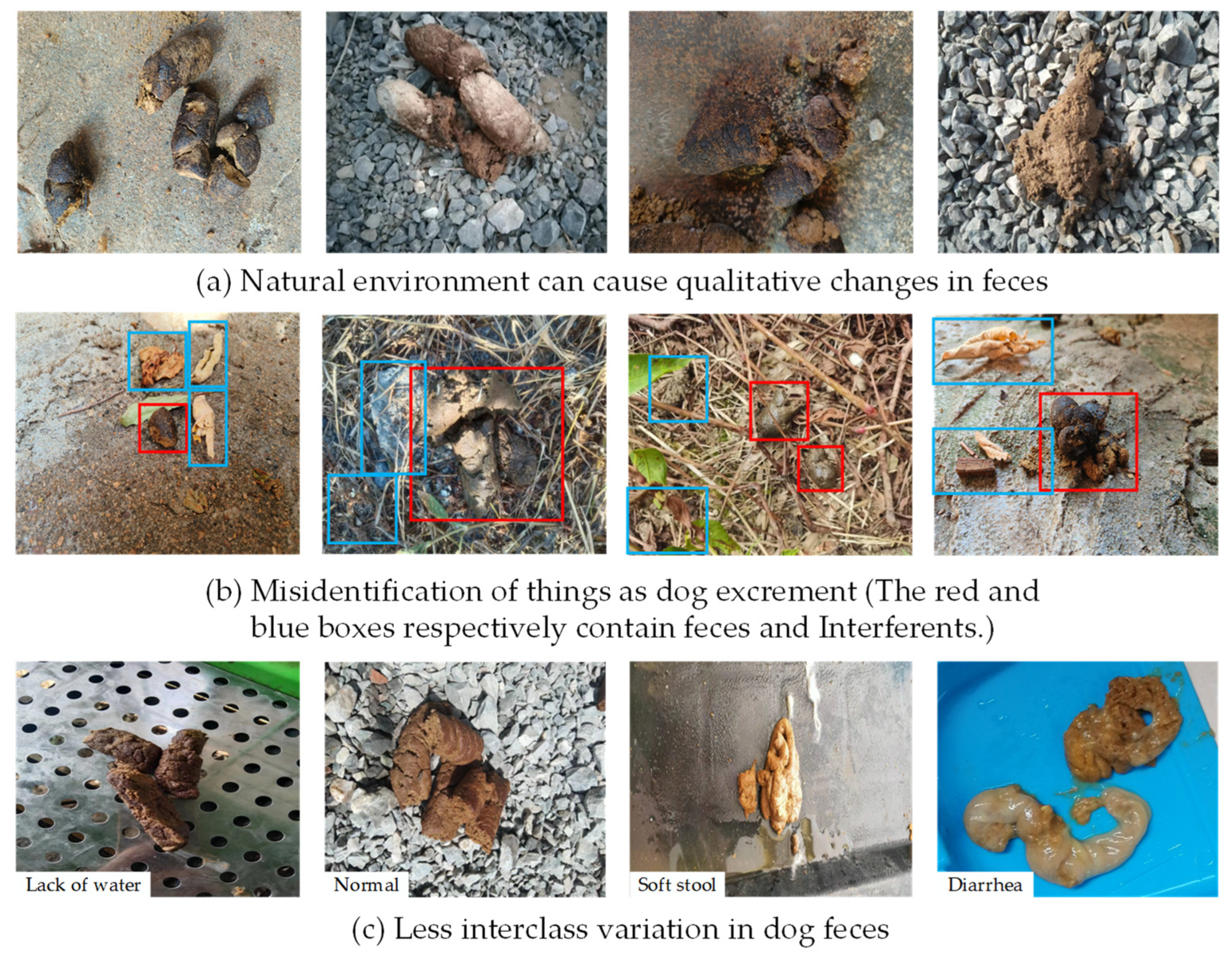 Animals 13 01660 g001 Animals 13 01660 g001