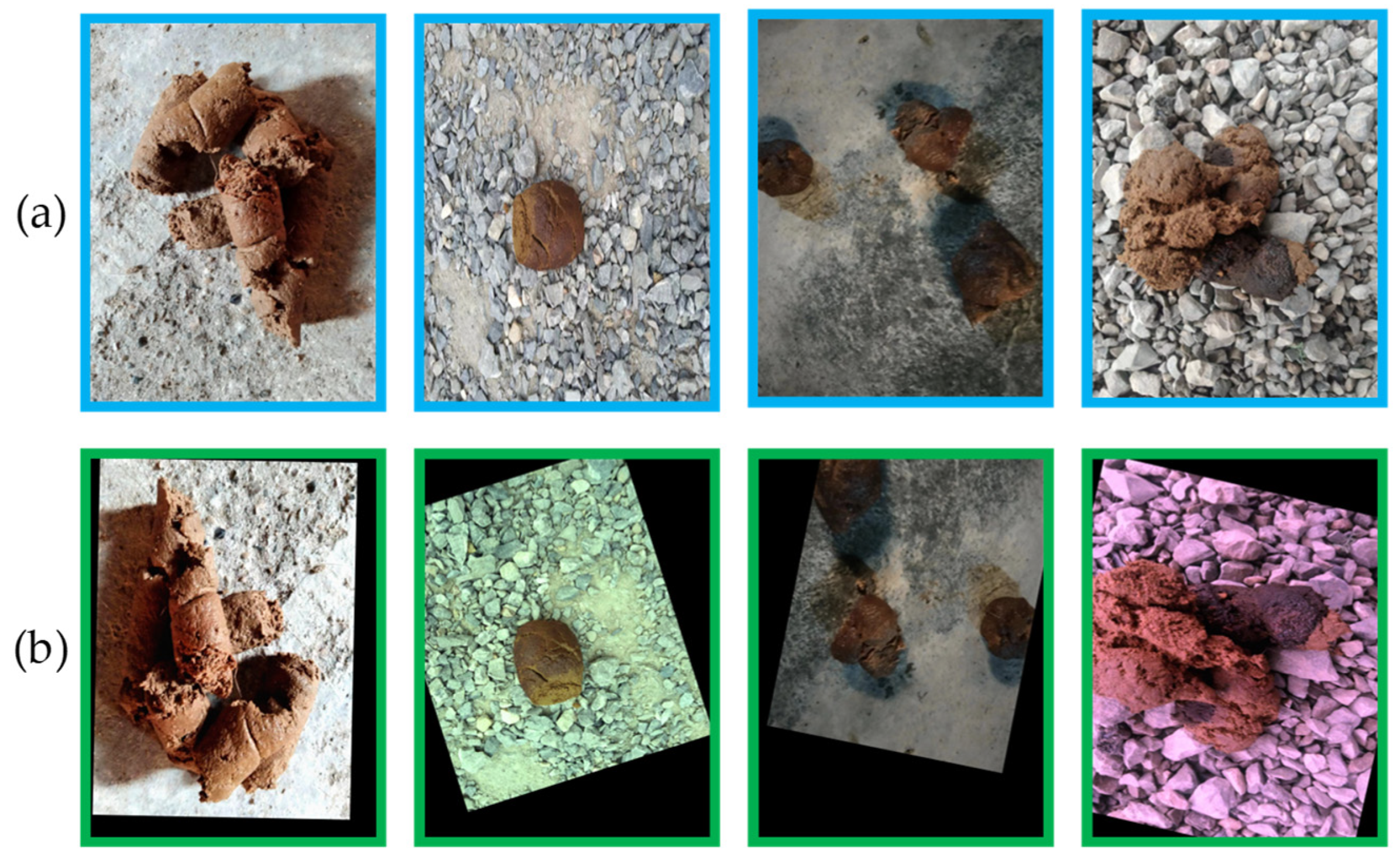 Animals 13 01660 g002 Animals 13 01660 g002