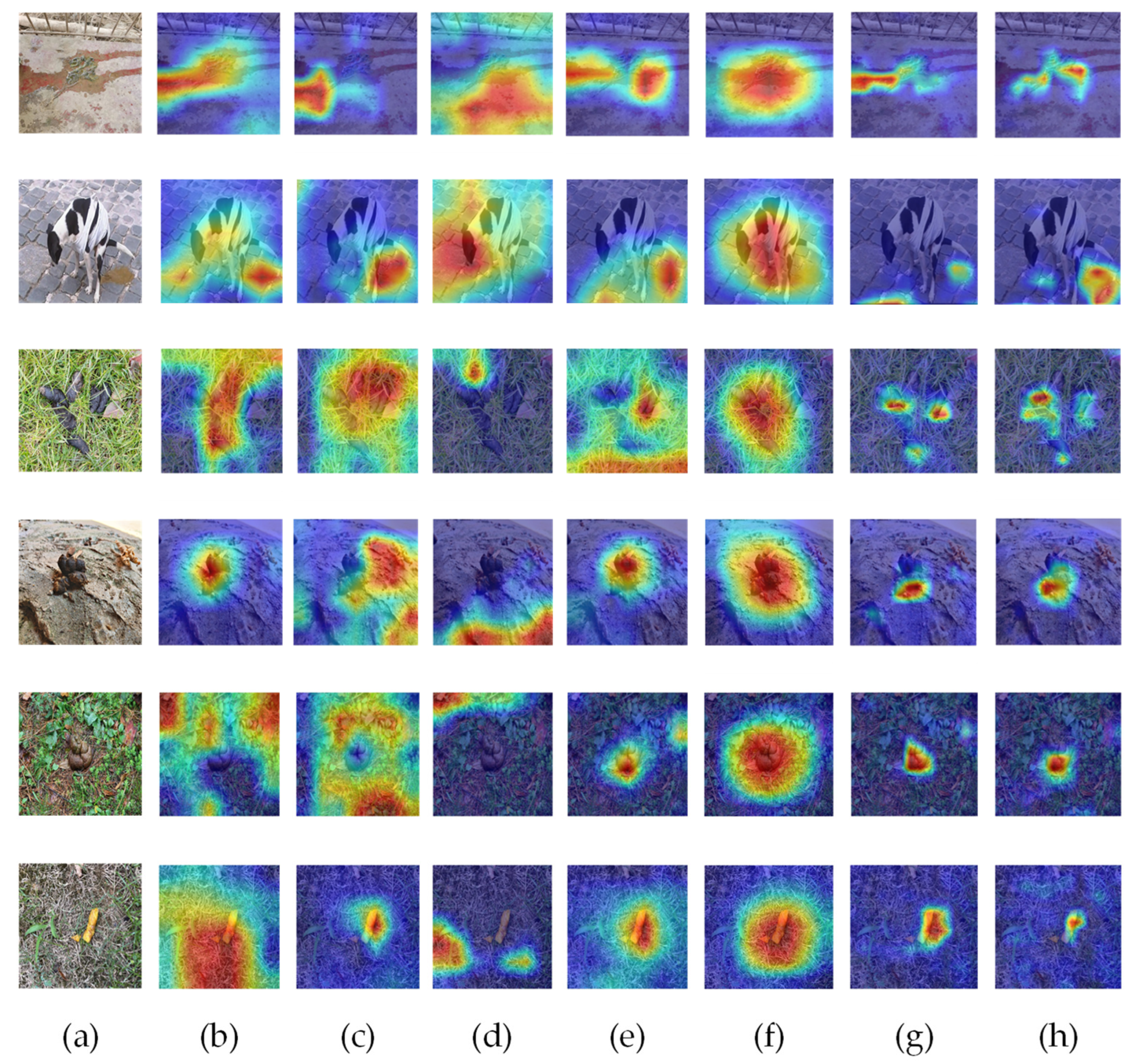 Animals 13 01660 g009 Animals 13 01660 g009