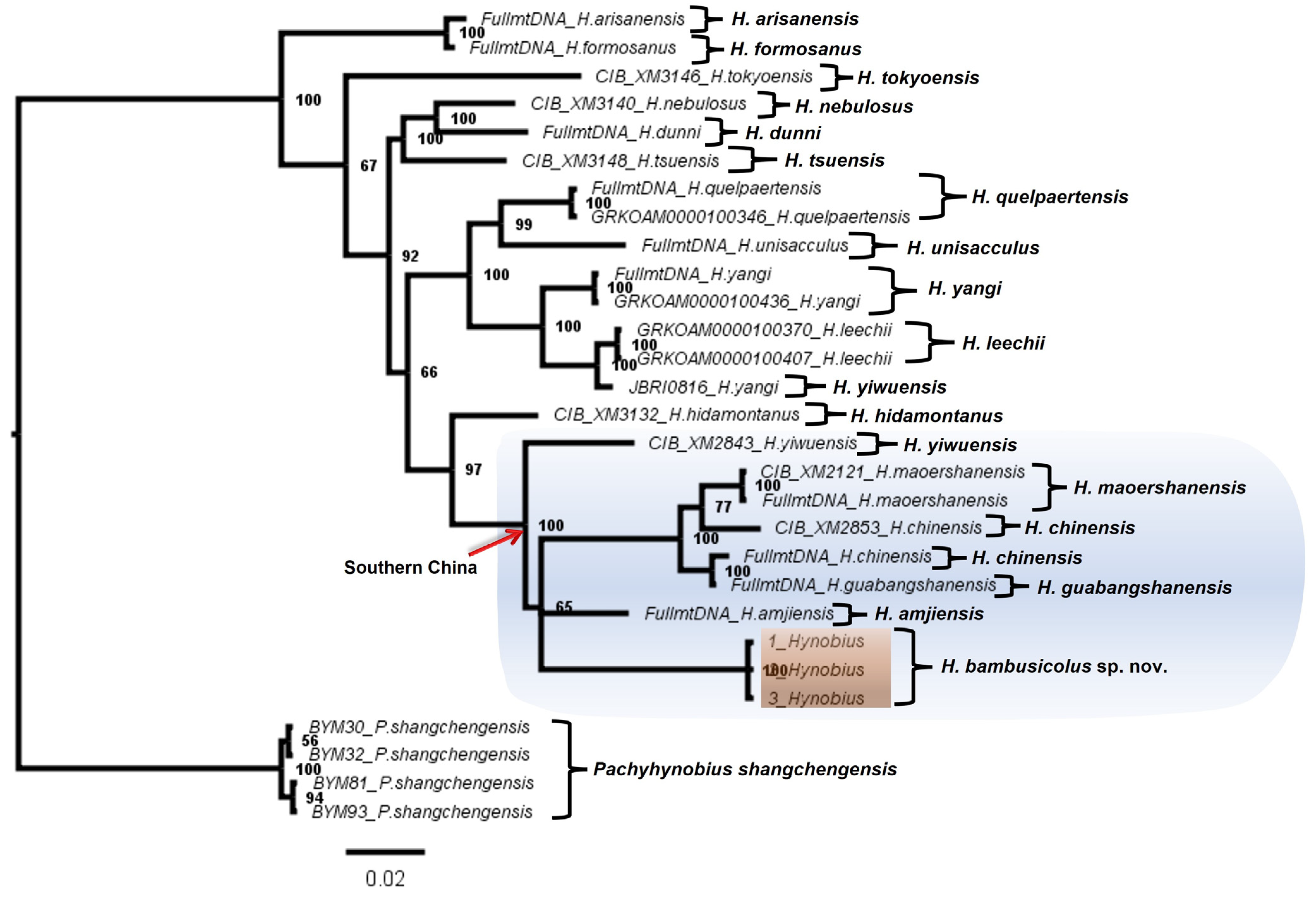 Animals 13 01661 g004