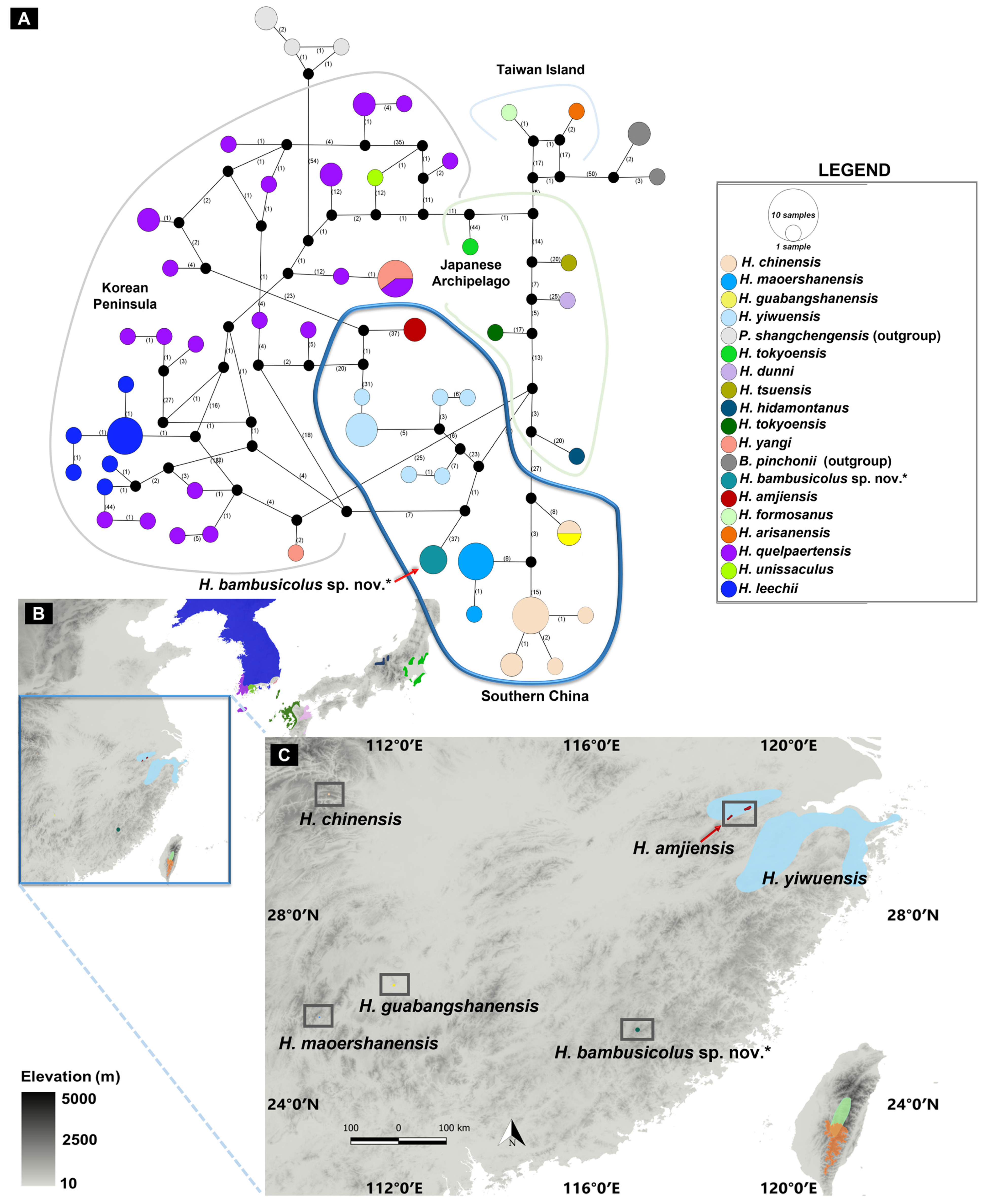Animals 13 01661 g005