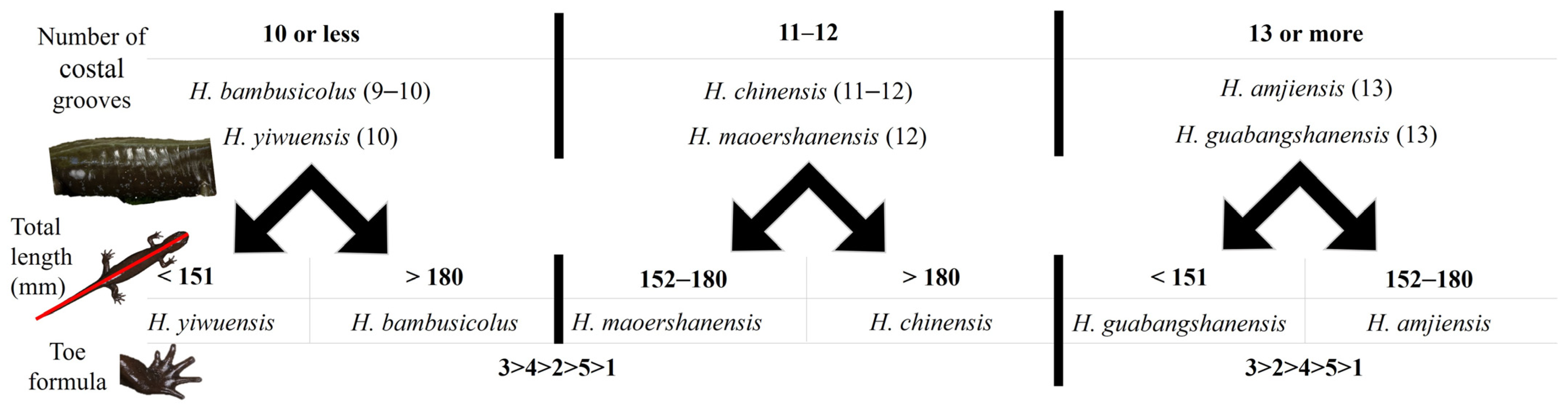 Animals 13 01661 g006