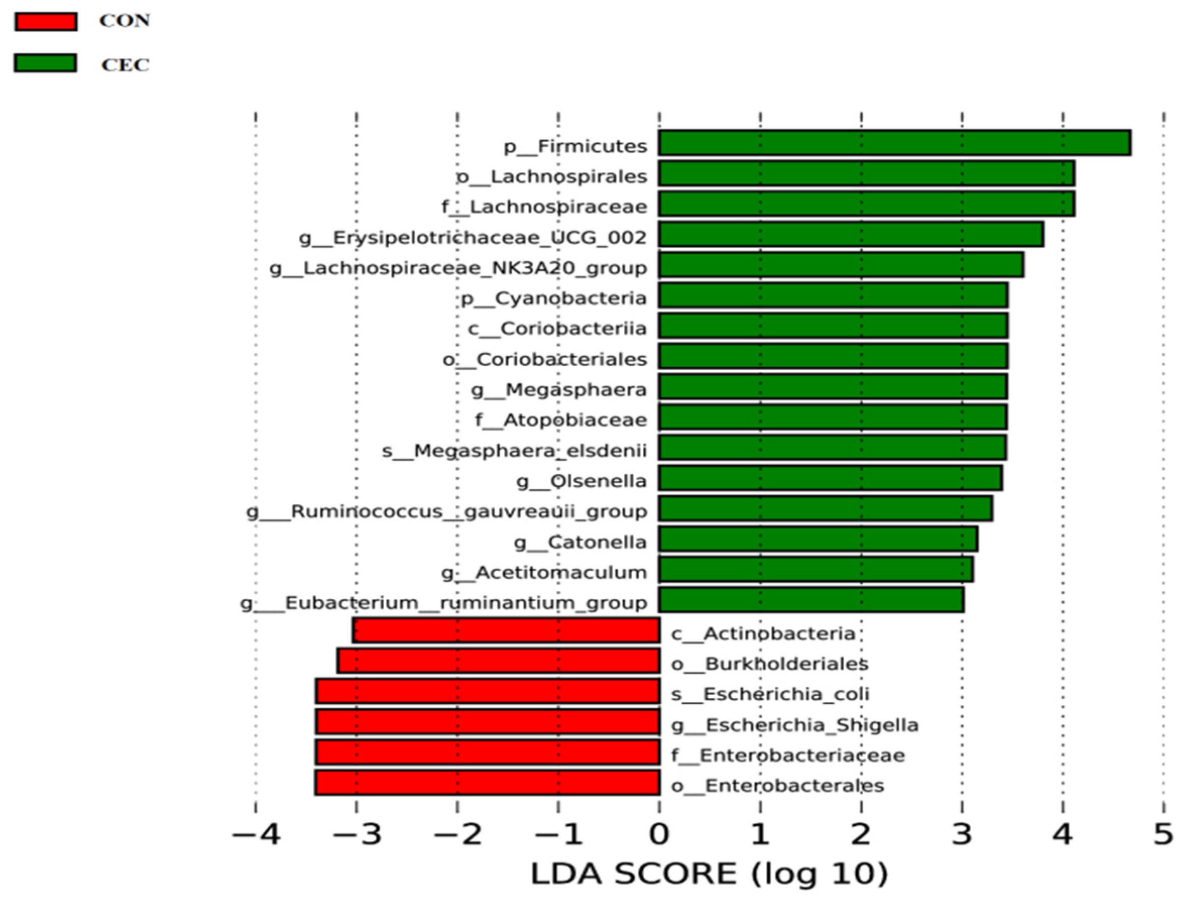 Animals 13 01663 g007