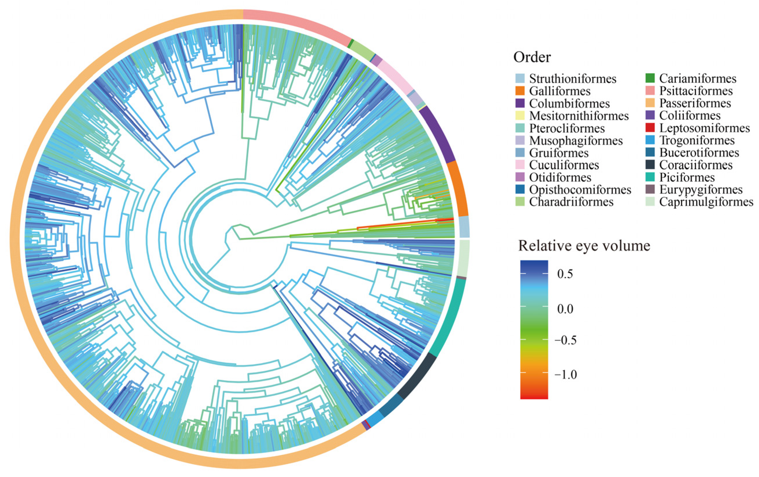 Animals 13 01675 g002 Animals 13 01675 g002