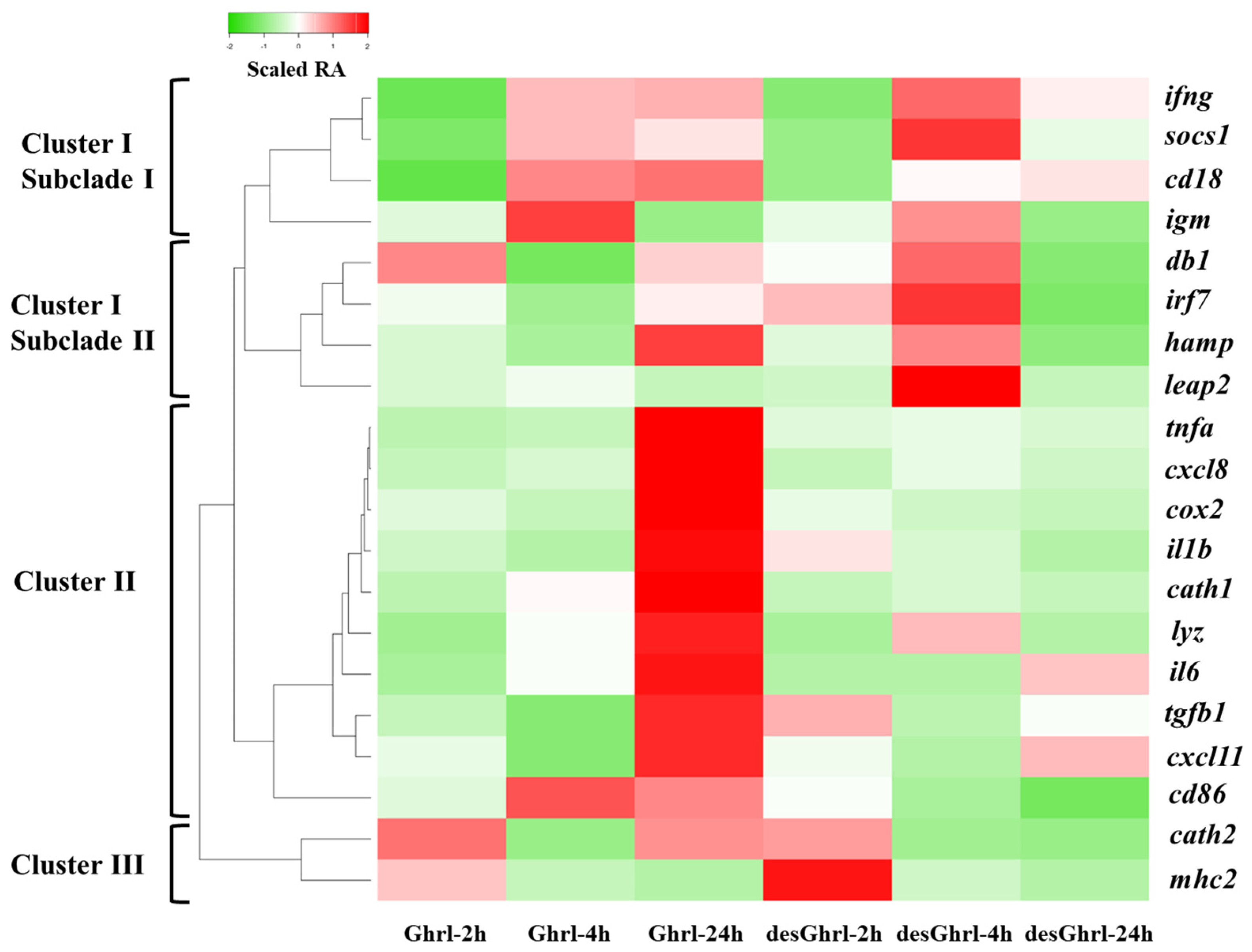 Animals 13 01683 g002