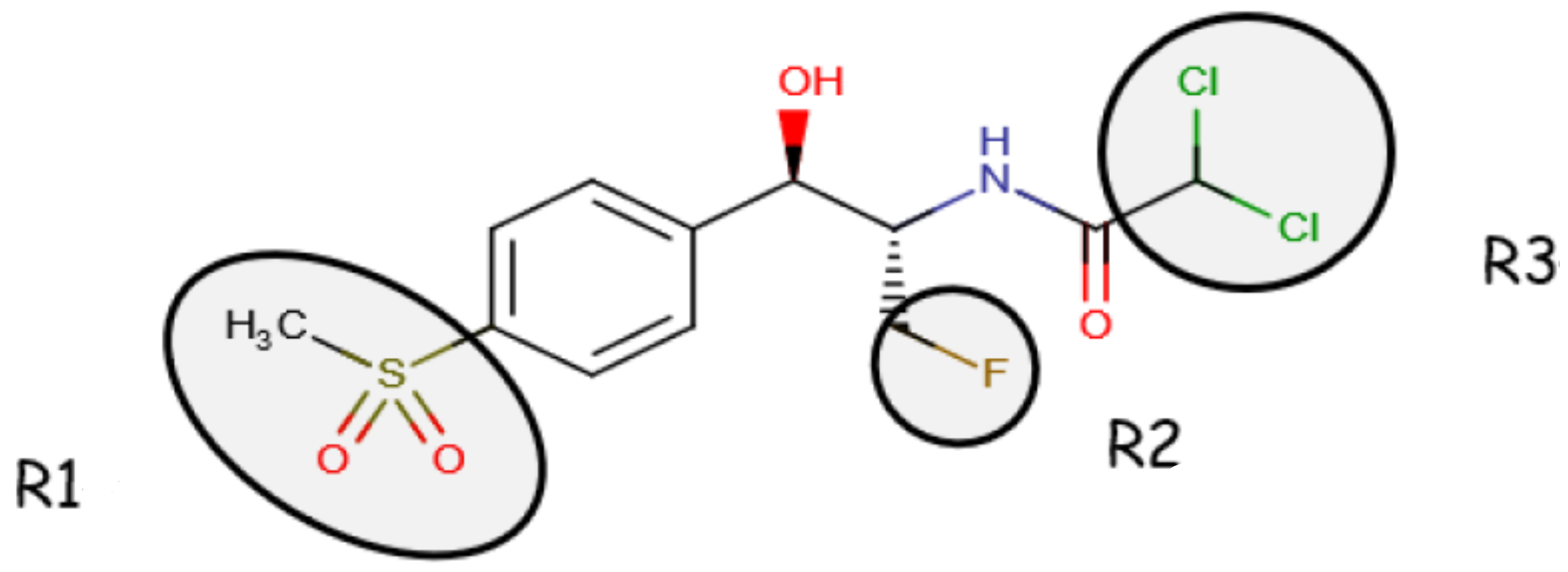 Animals 13 01695 g001