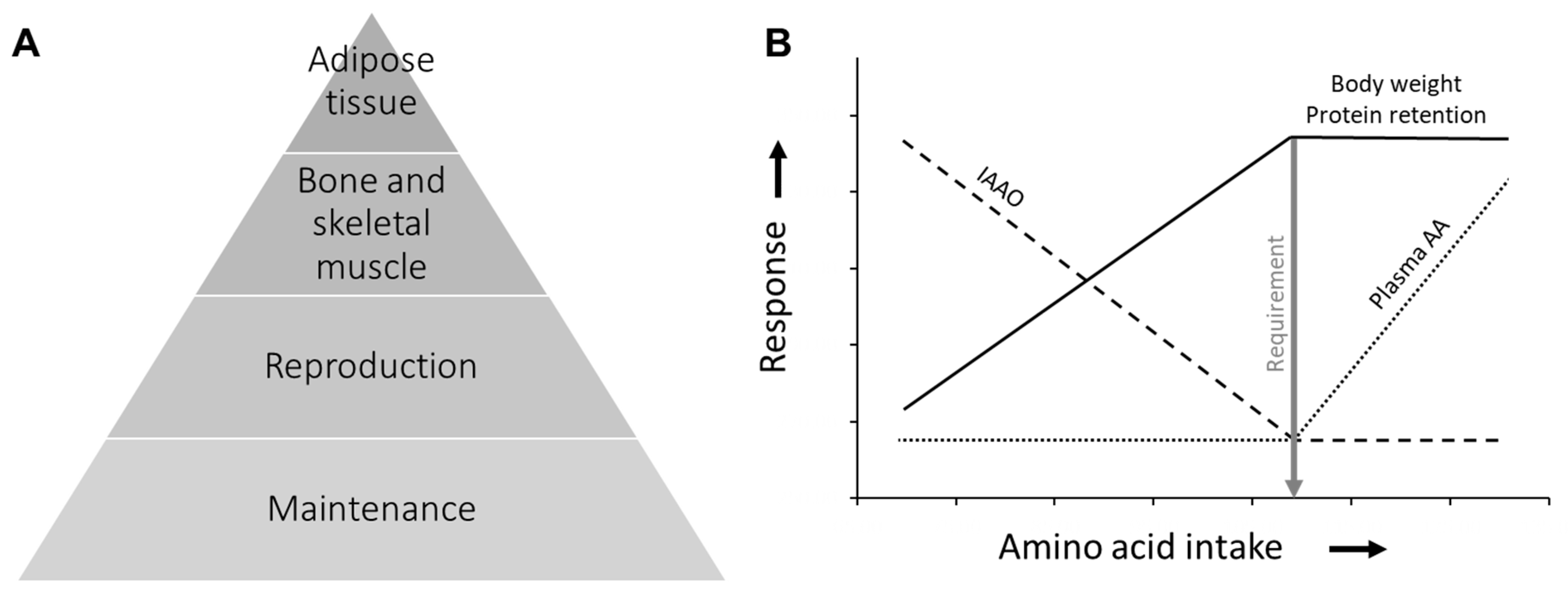 Animals 13 01708 g001