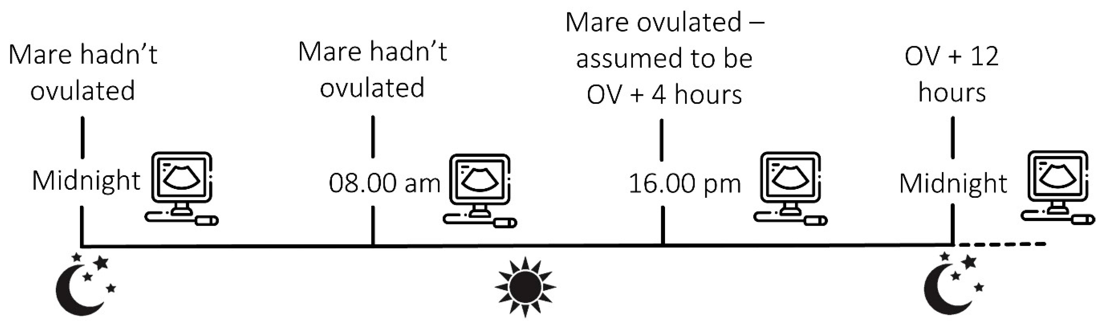 Animals 13 01718 g001