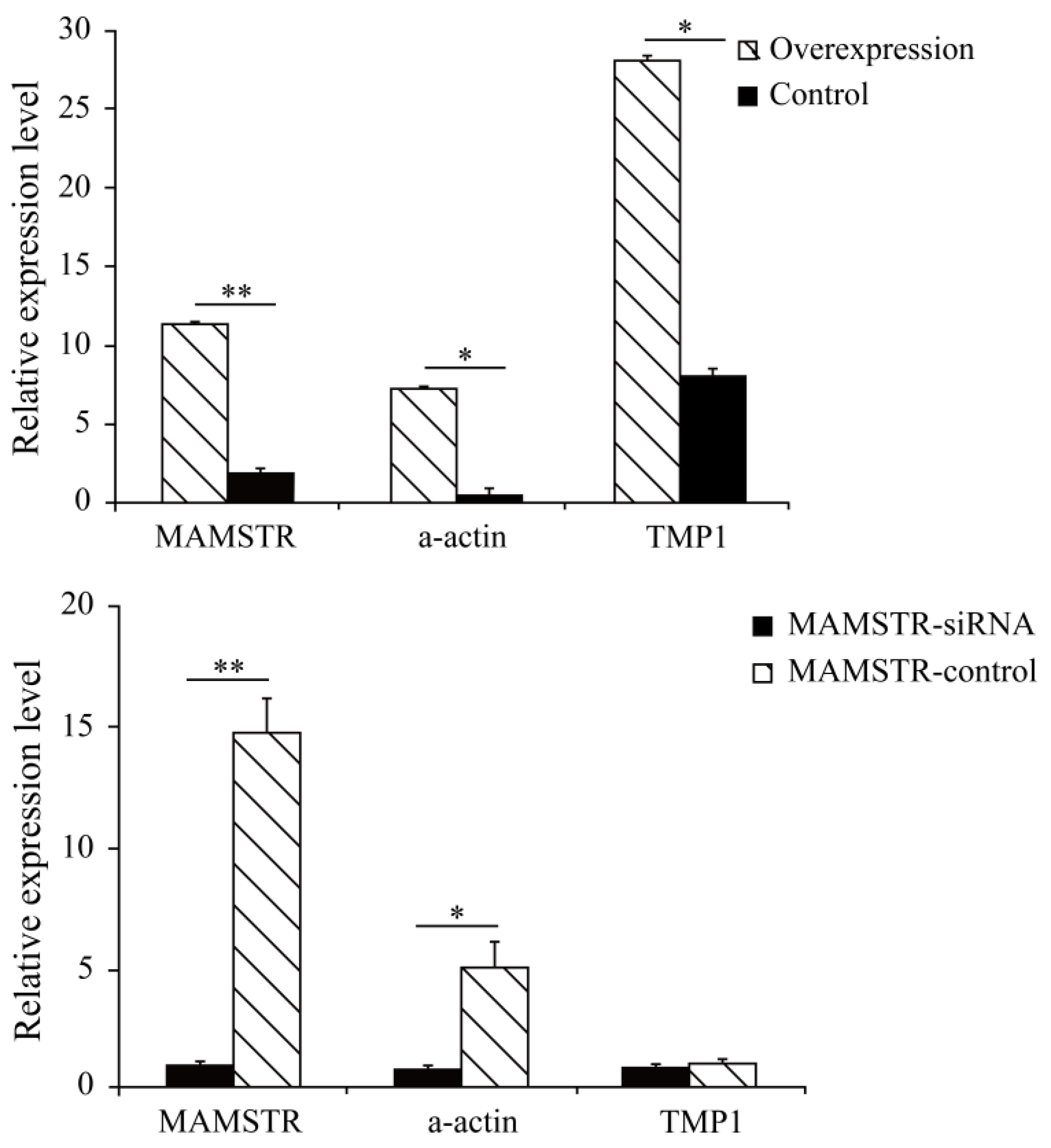 Animals 13 01731 g002