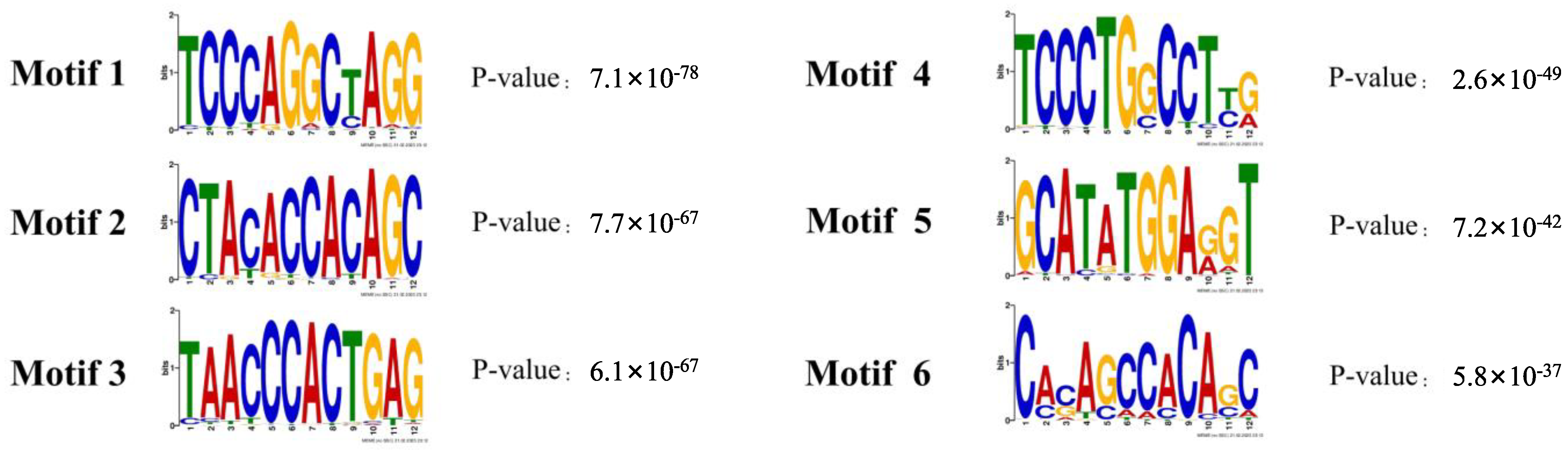 Animals 13 01731 g008