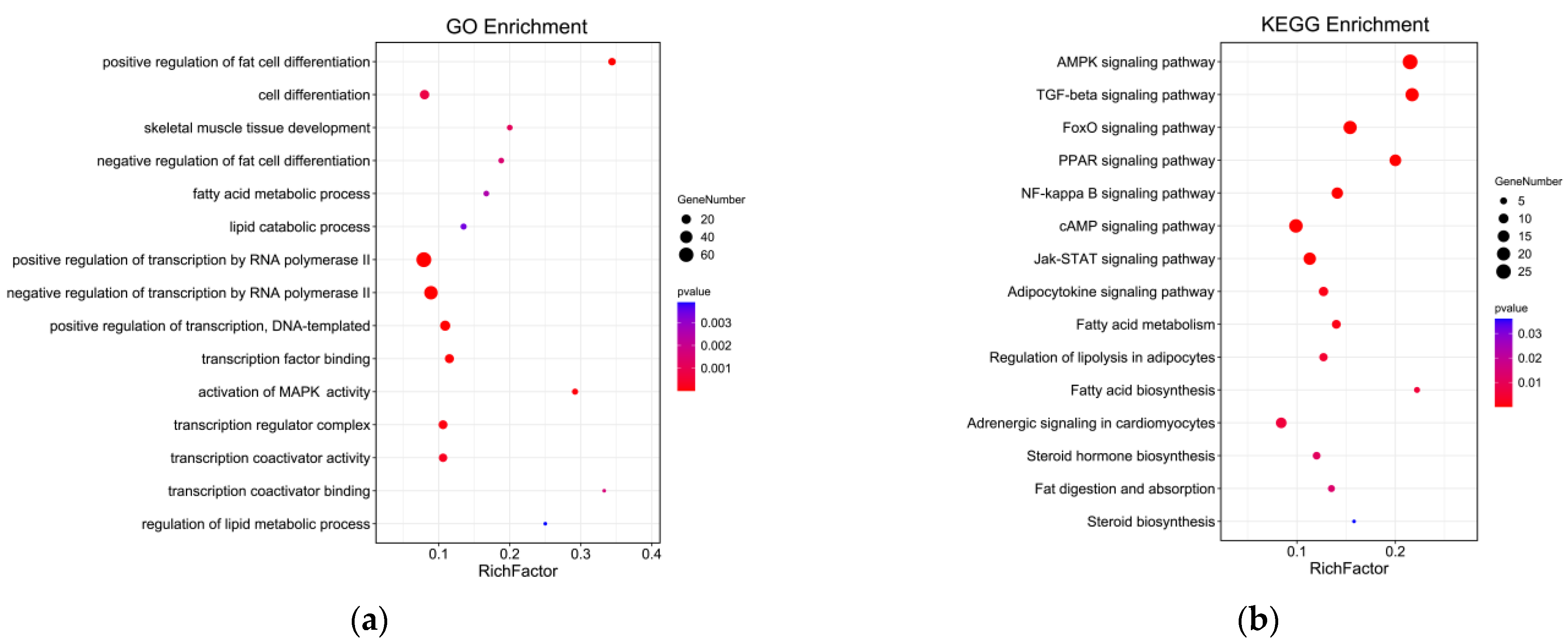 Animals 13 01731 g009