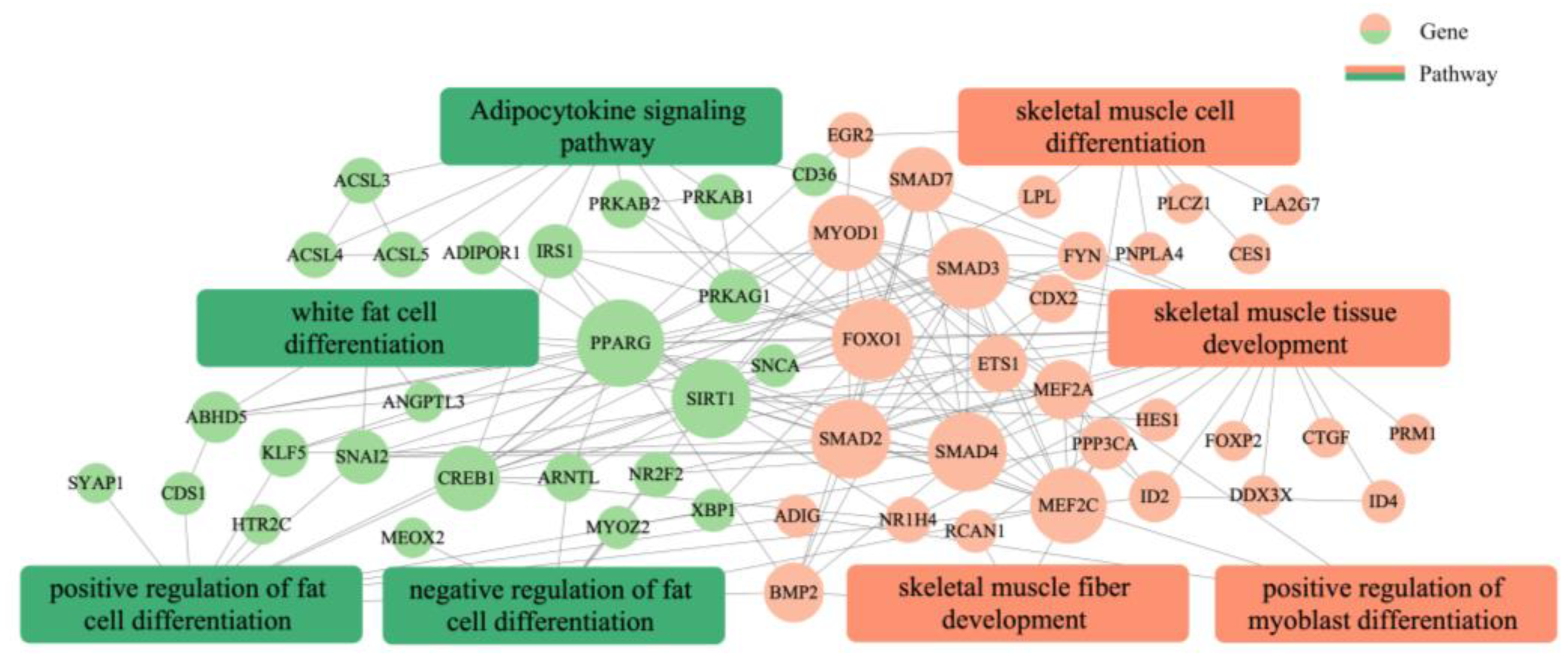 Animals 13 01731 g010